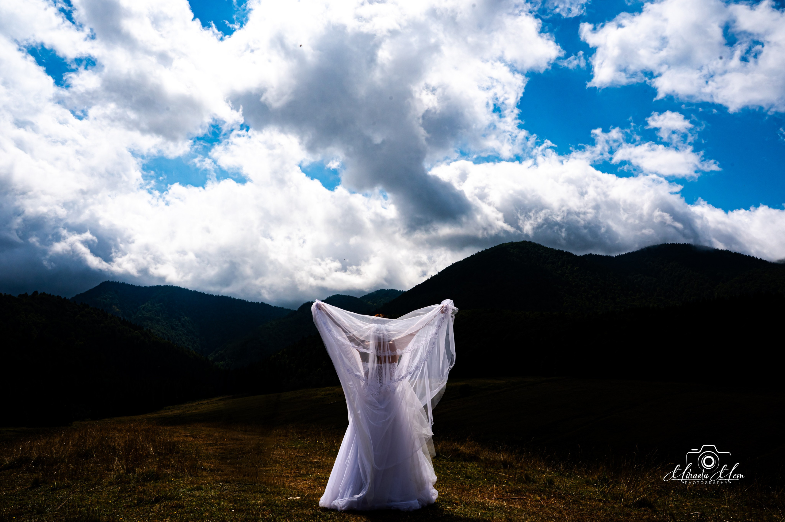 Trash the dress