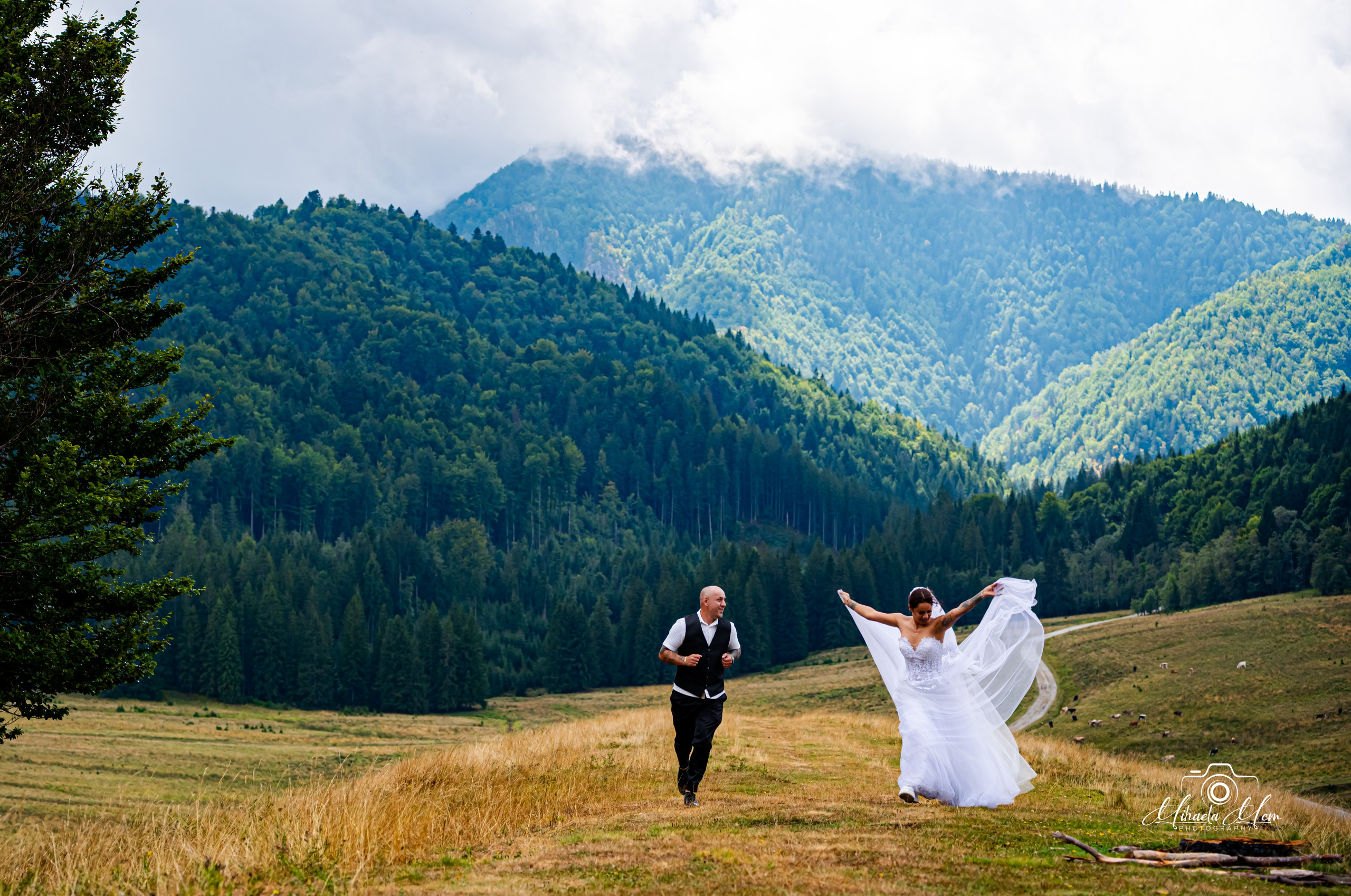 Trash the dress