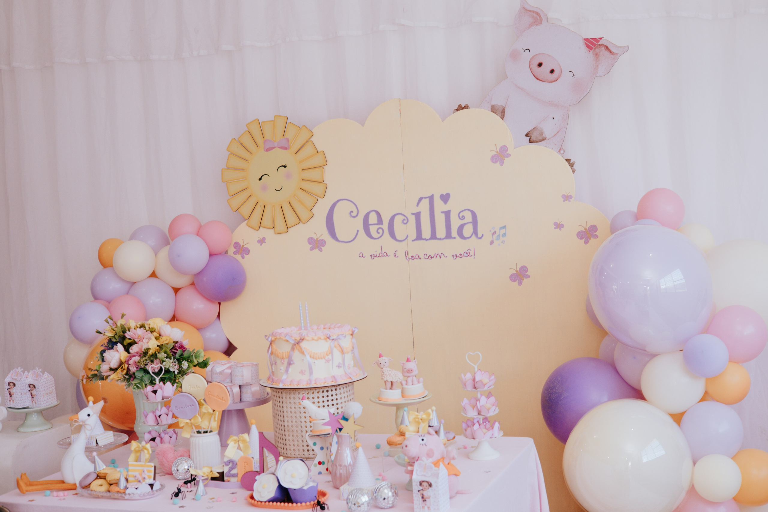 Cecília 2 anos. Fotografia de família e parto