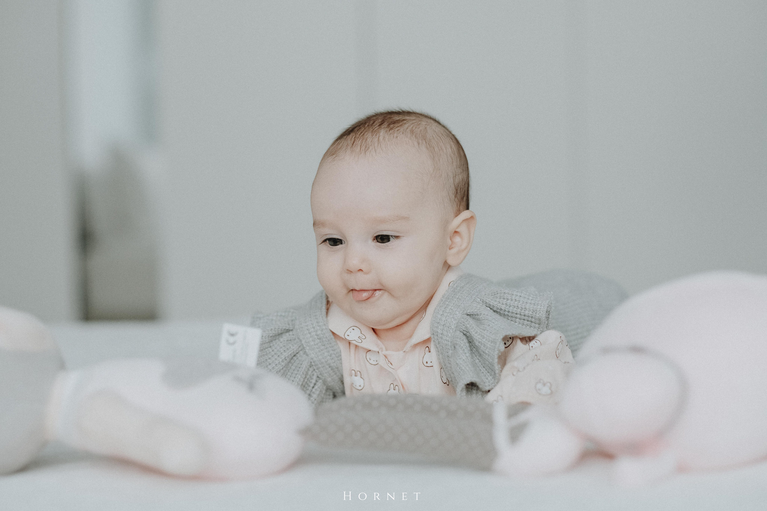 Amelia. Hornetart
