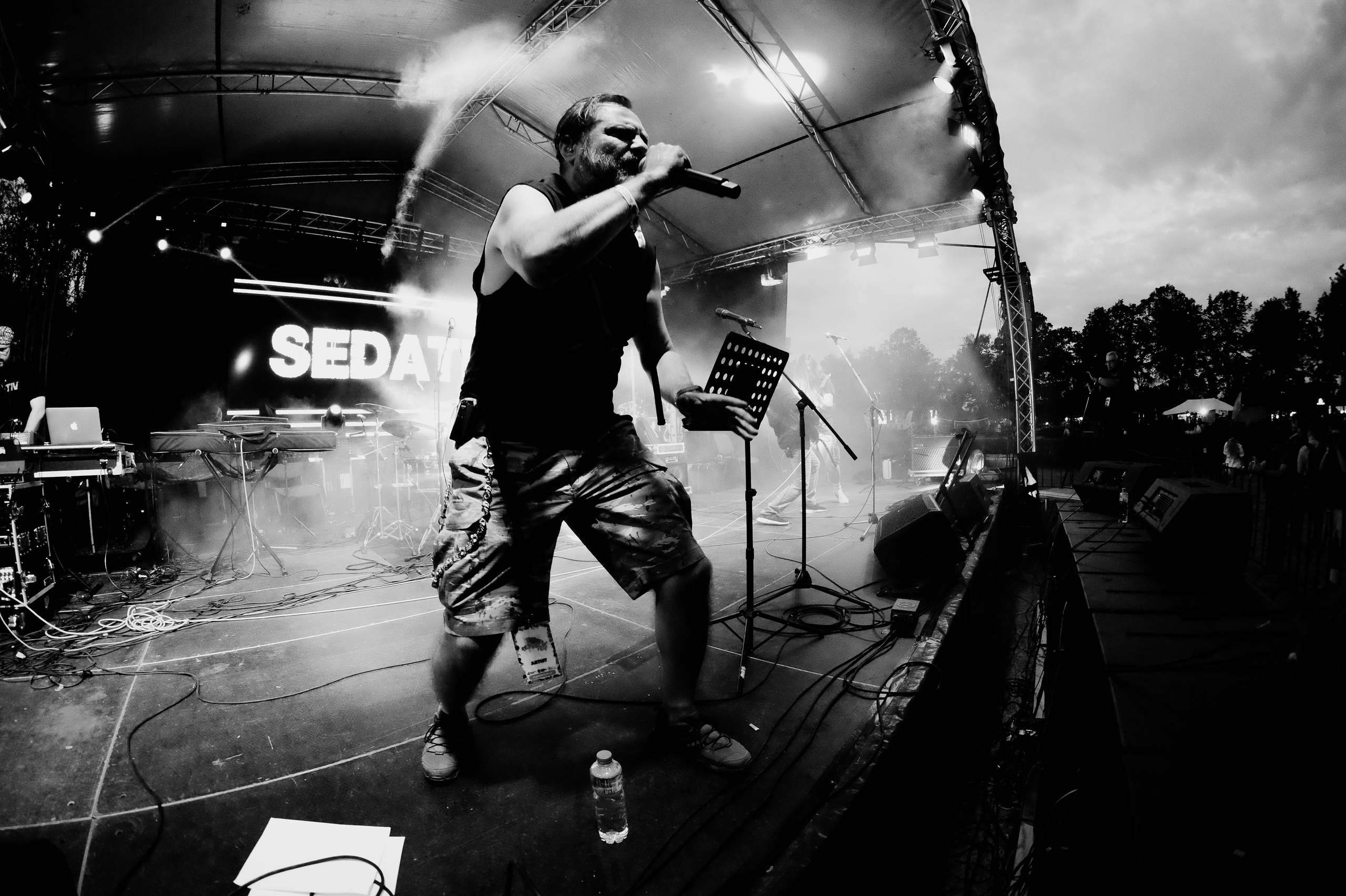 Sedativ. Hornetart