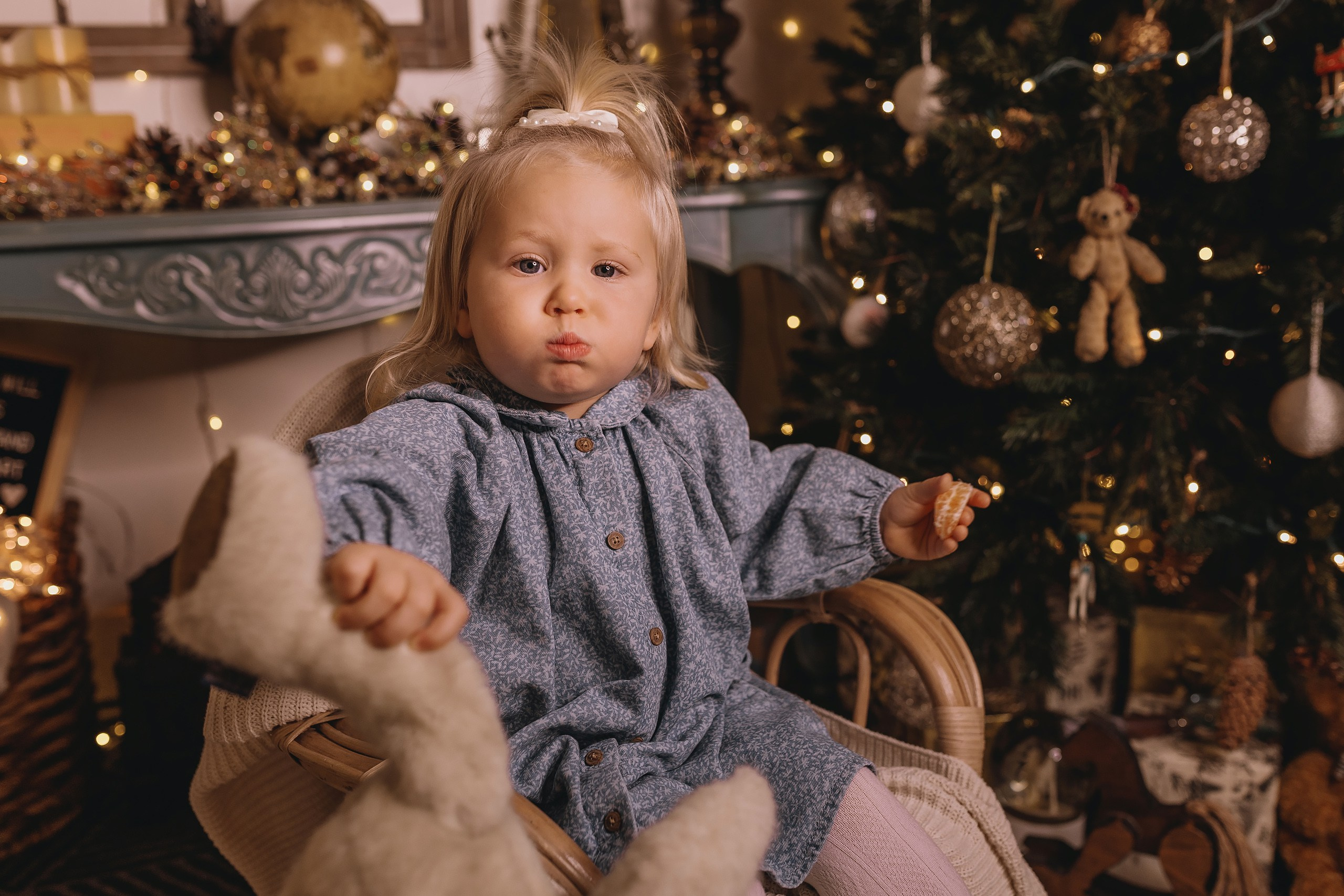 12.08.2025 Christmas Photoshoot. Wedding family event photographer in Chicago Nick Yushevich