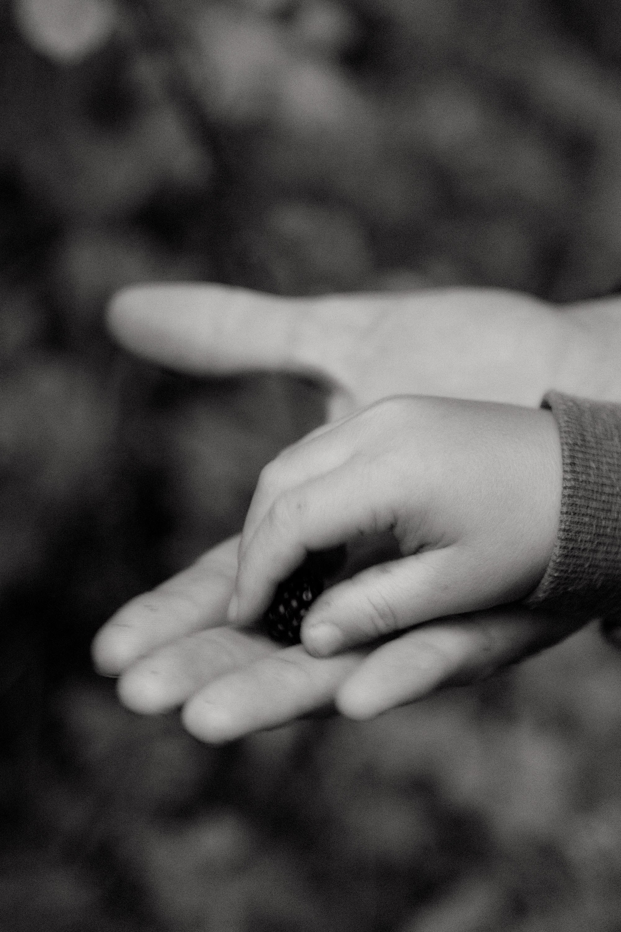 Somerset | Family Photographer in London and Kent