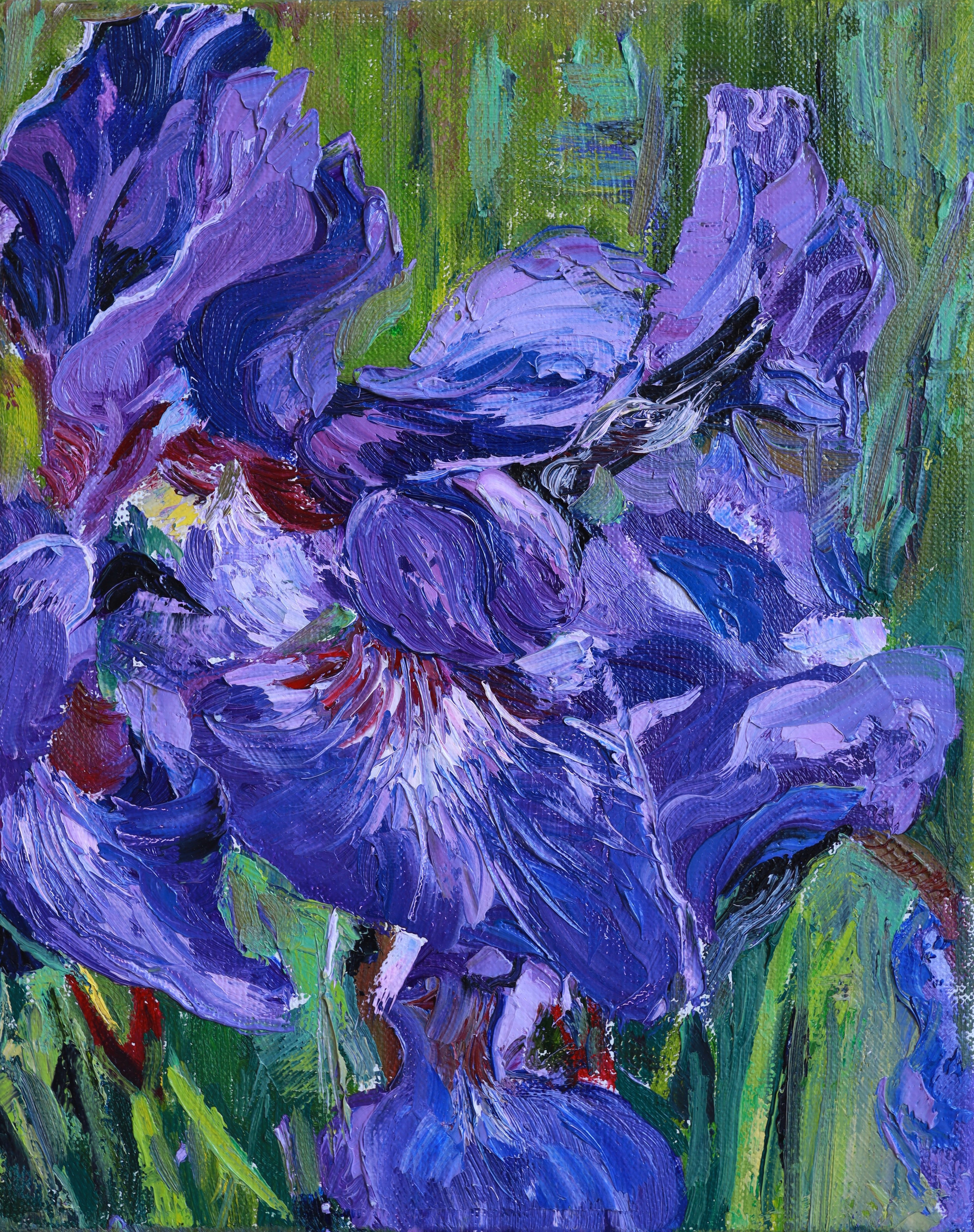 ИРИСЫ. GALA художник из г. Харьков в Чехии