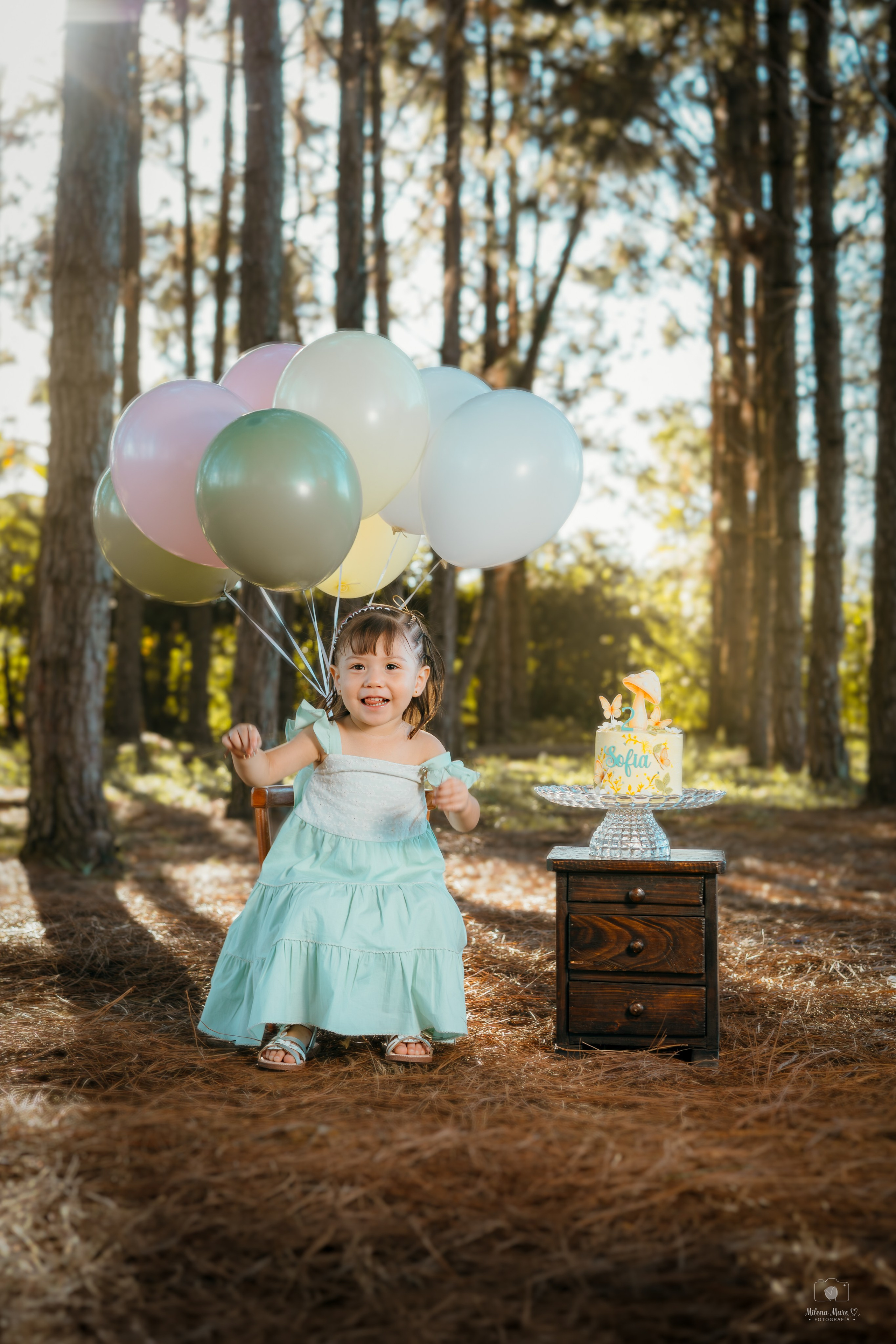 SESIÓN DE FOTOS DOS AÑOS. Milena Maro Fotografía: estudio profesional en Acacías, Meta. Retrato familiar, infantil, maternas, eventos y empresas