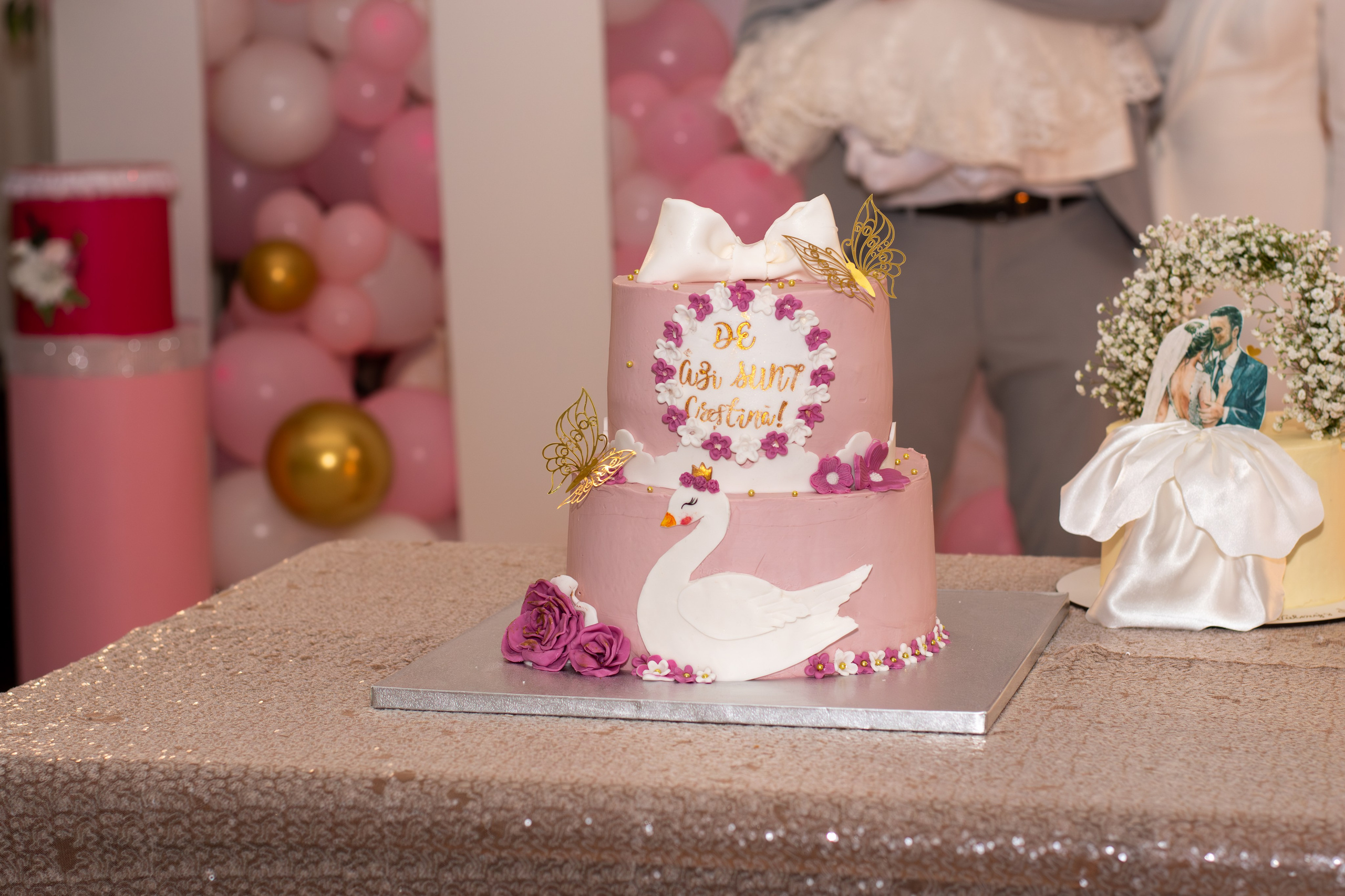 Milanya. Fotograful și Cameramanul familiei dvs în Franța Paul Photographer