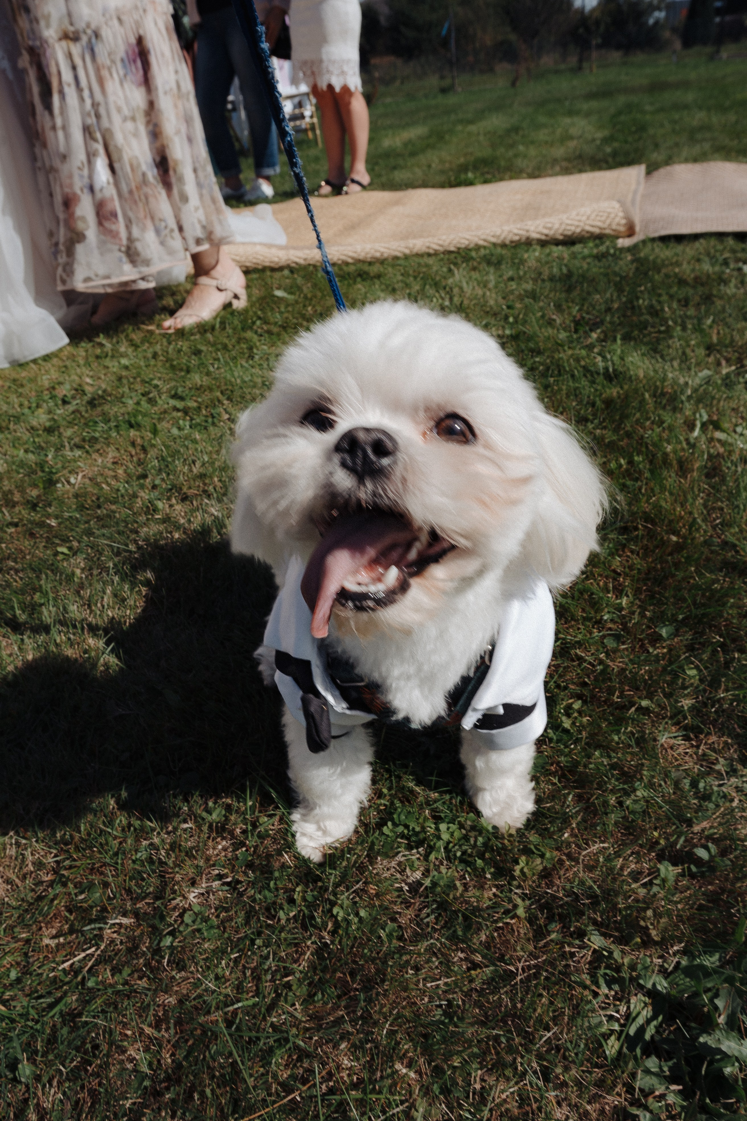 Irena i Dmytro. Karina Czernecka Foto