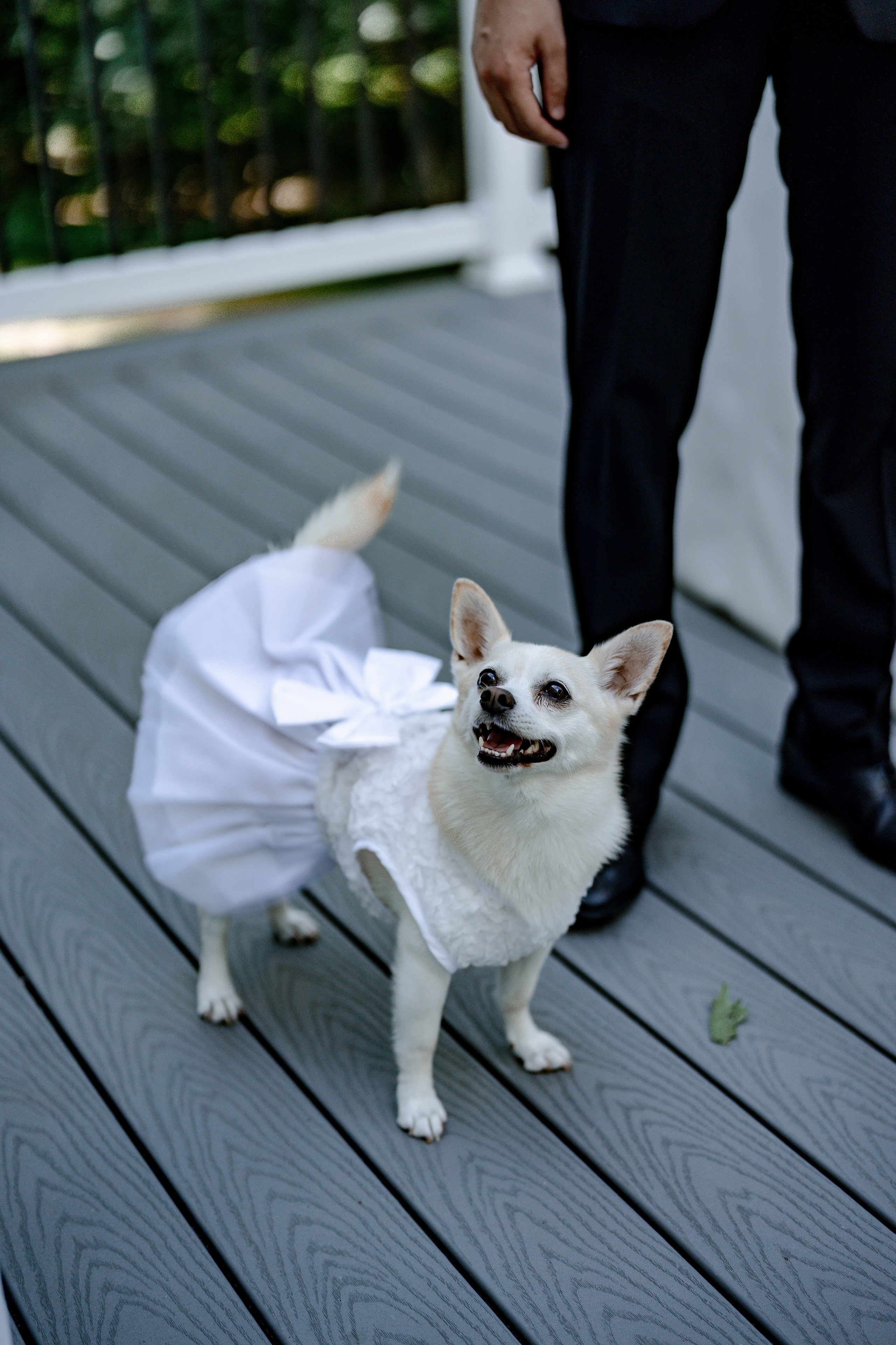 Bernice & Eric. Anna Krasnova Wedding photographer