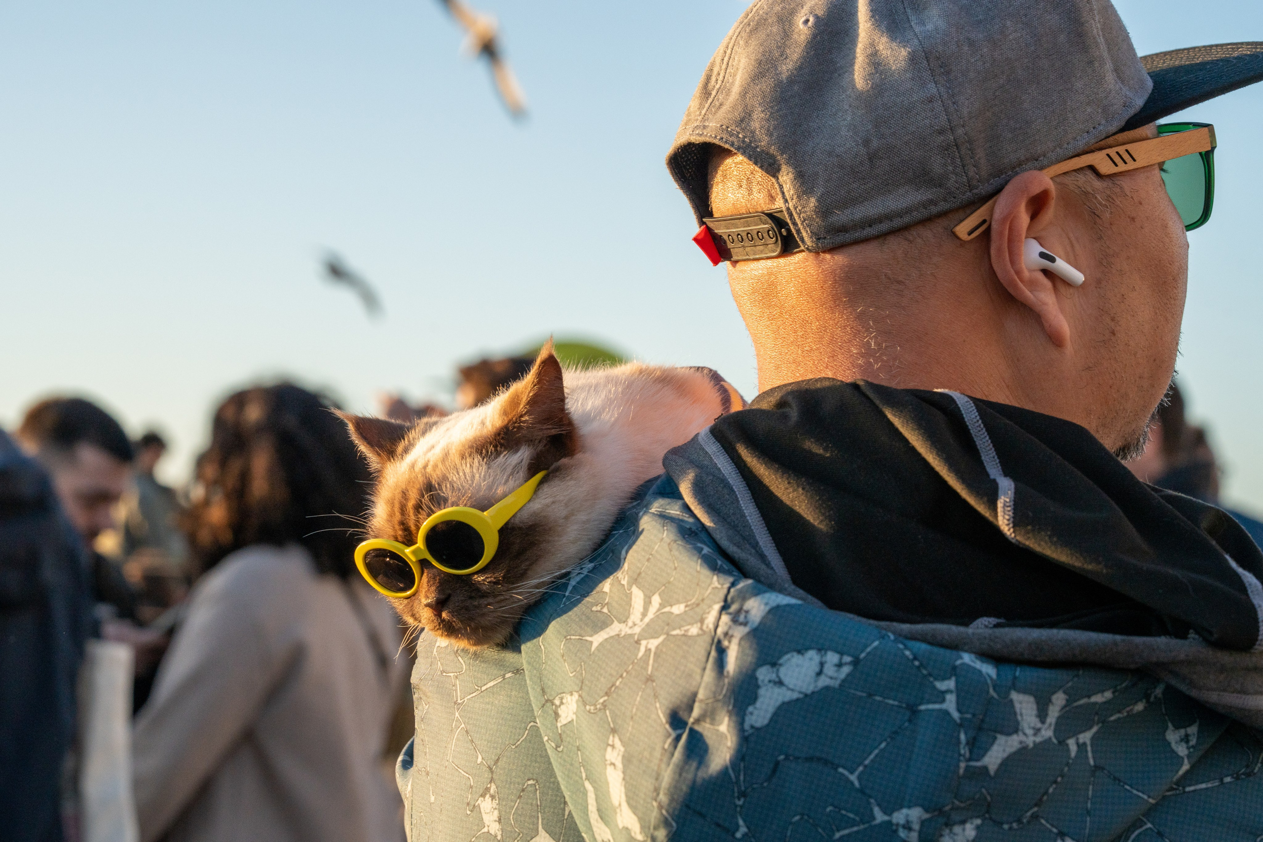 Работы Марии Шер. Sher.SCHOOL