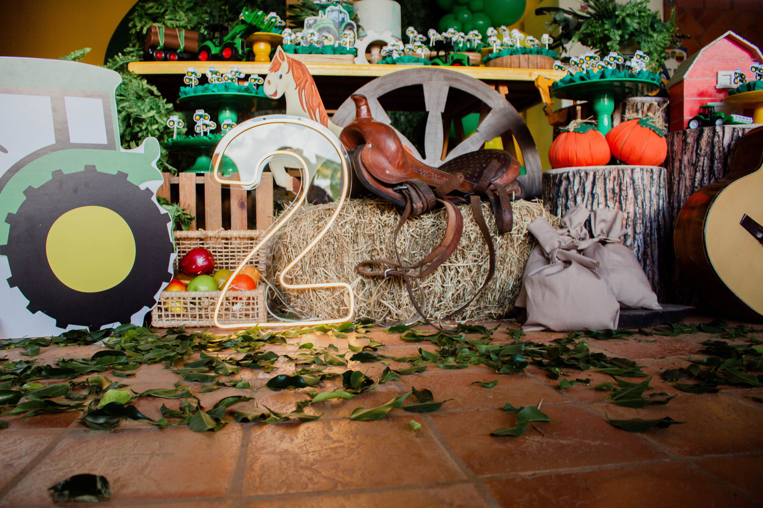 Fotografia de Aniversário Infantil em Holambra – Theo, 2 anos | Joyce Maria. Joyce Maria Fotografia | Fotógrafa em Holambra