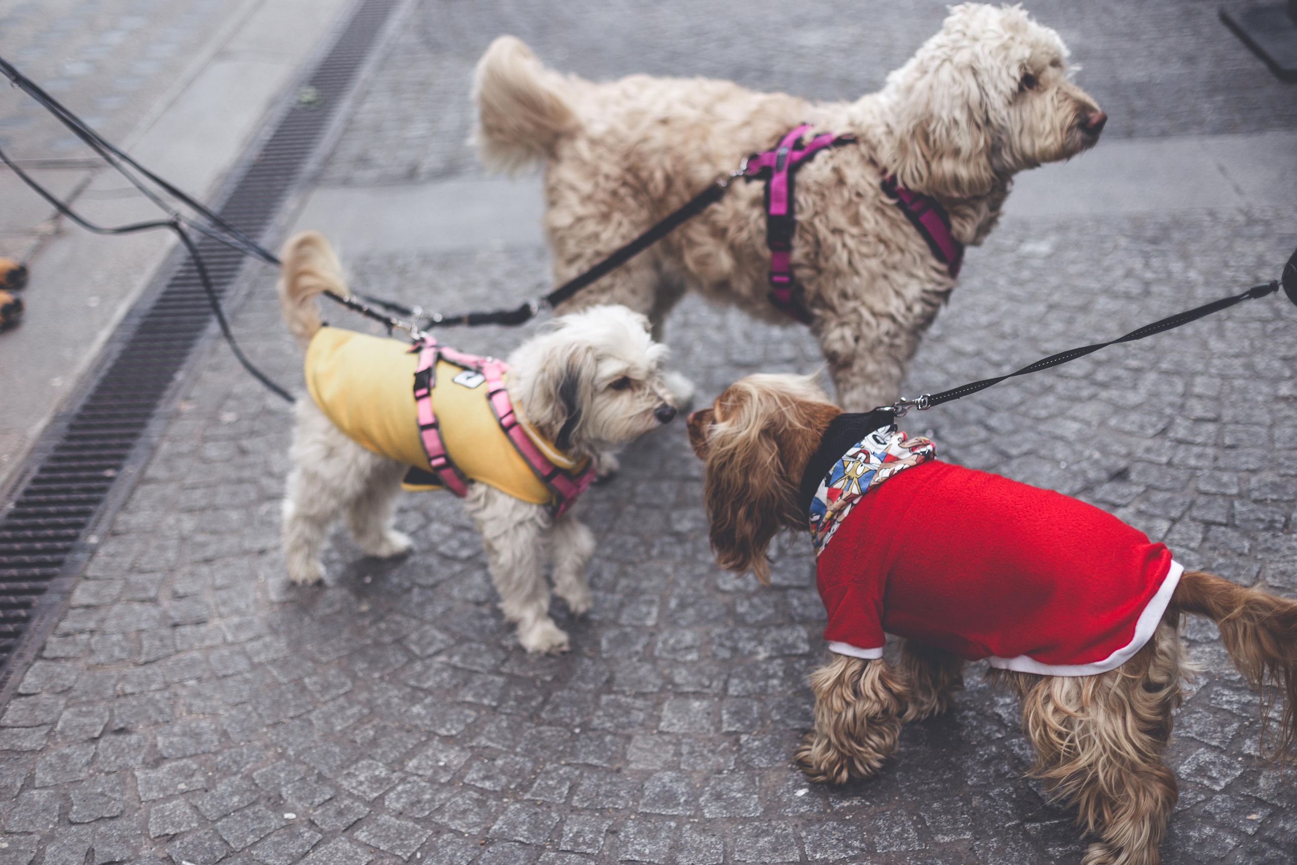 Eva&Cem. Тетяна Шишкіна фотографиня і дослідниця