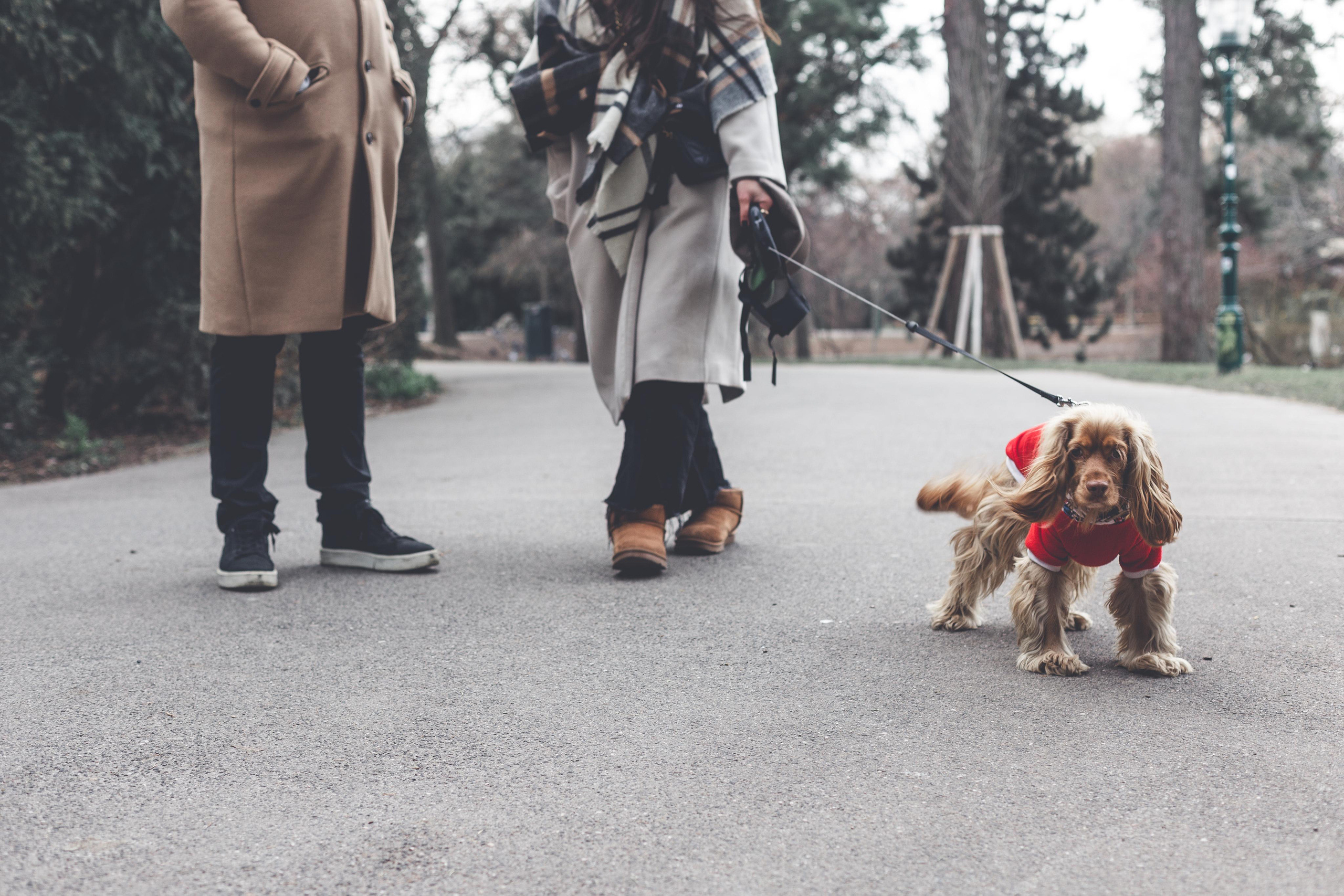 Eva&Cem. Тетяна Шишкіна фотографиня і дослідниця