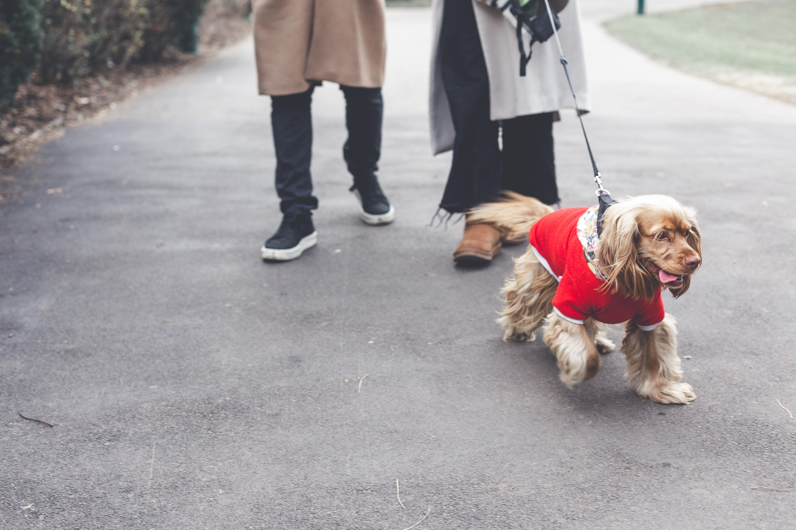 Eva&Cem. Тетяна Шишкіна фотографиня і дослідниця