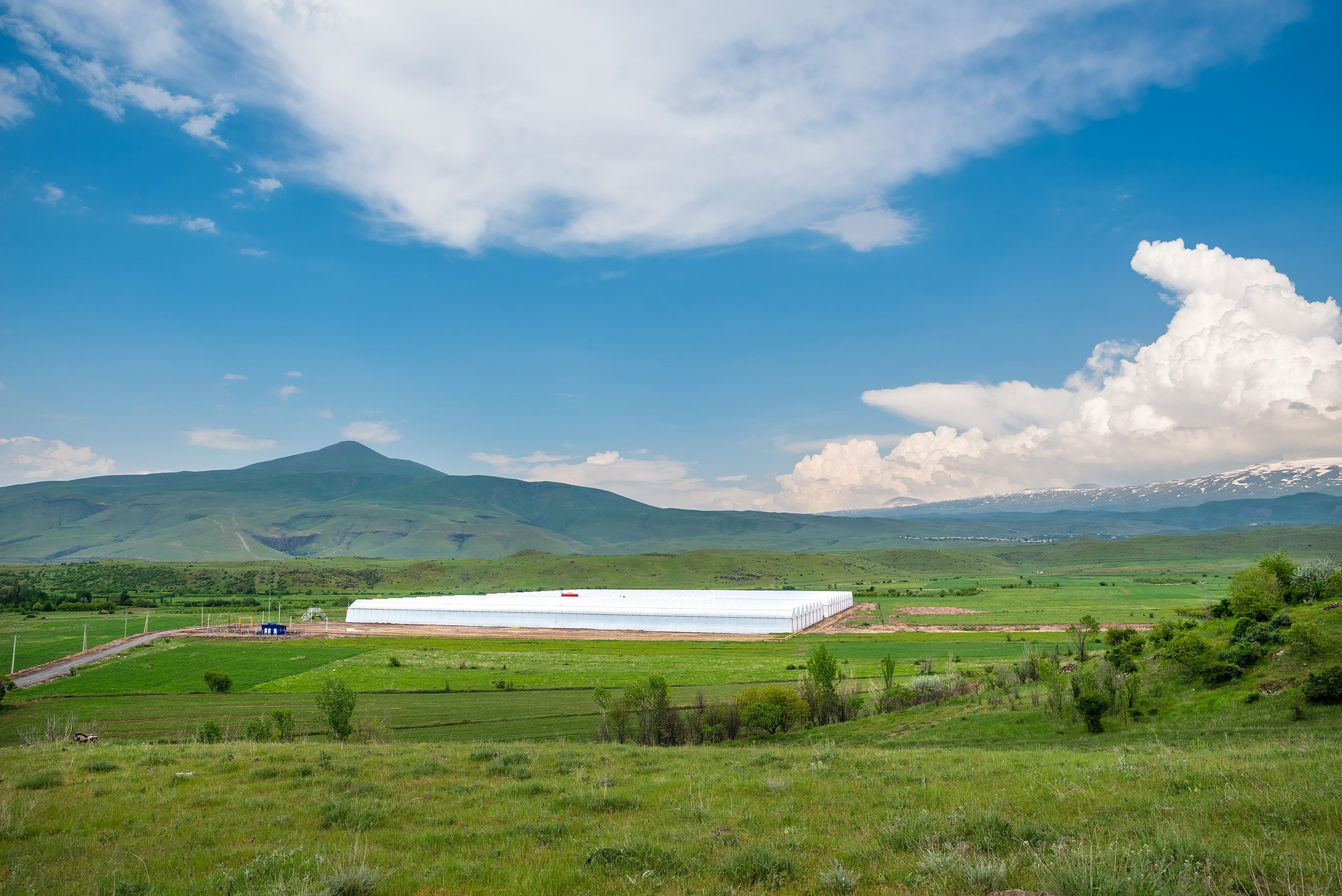 Rockberry. Фотограф в Ереване
