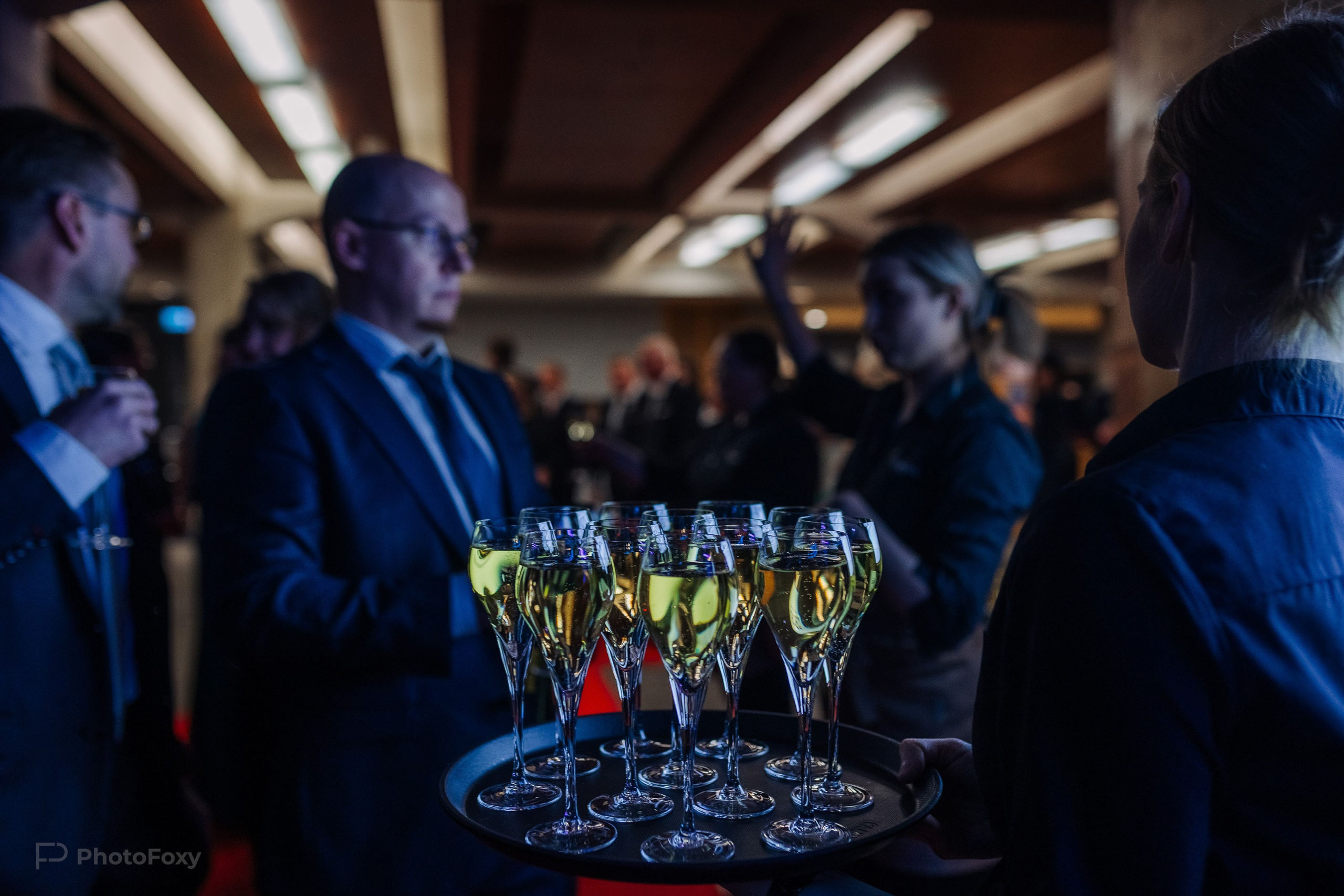 Maakunnallinen Yrittäjäjuhla. Valokuvaaja Lahti, Helsinki Elena Salonen