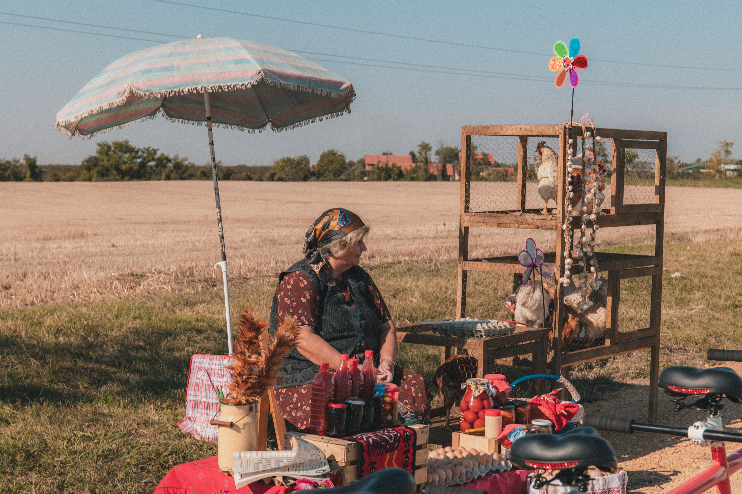 BetBoom. Фотограф Инна Гайнулина