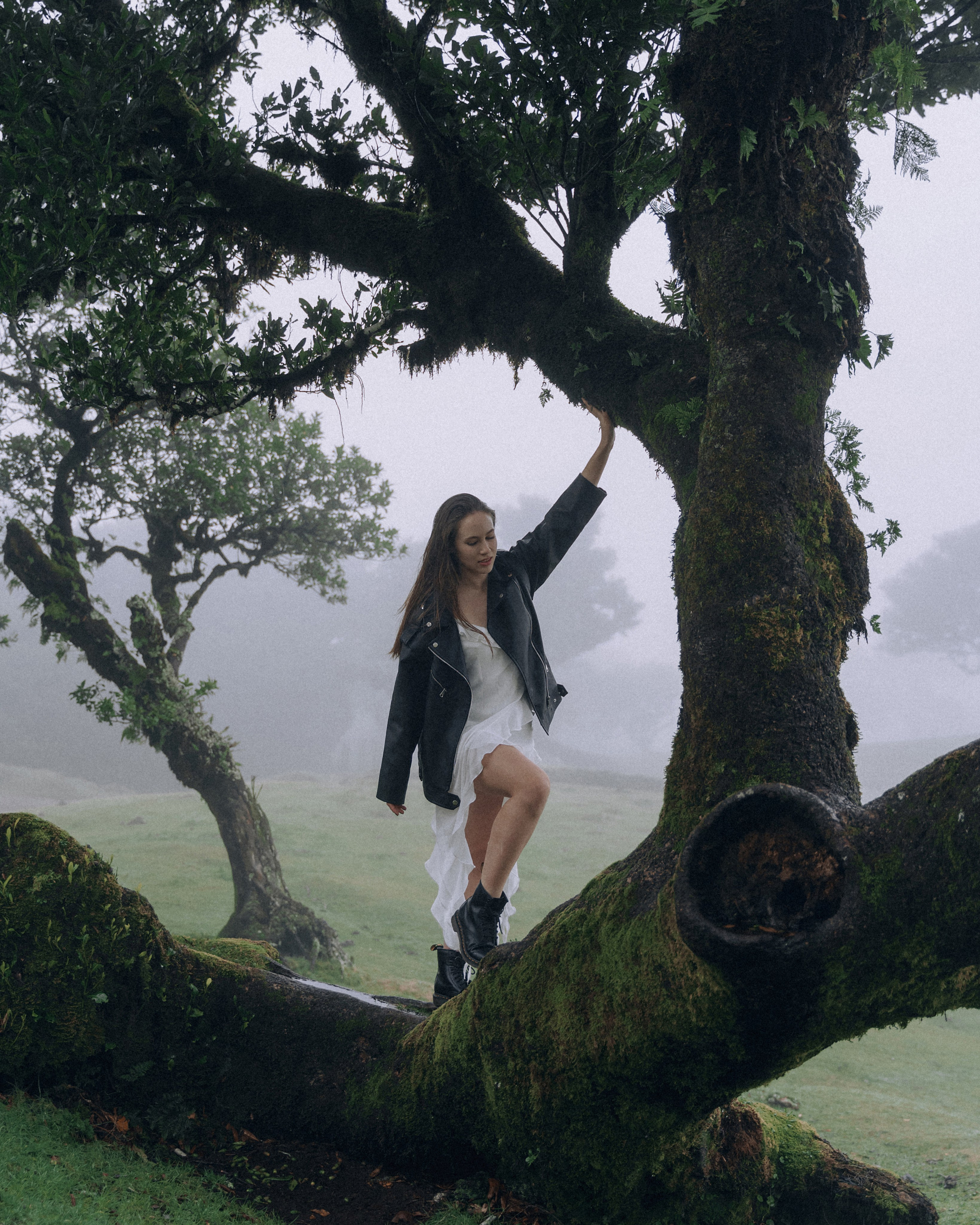 Misty Morning Photoshoot — Katya | Fanal Forest, Madeira Photographer. Your photographer in Madeira