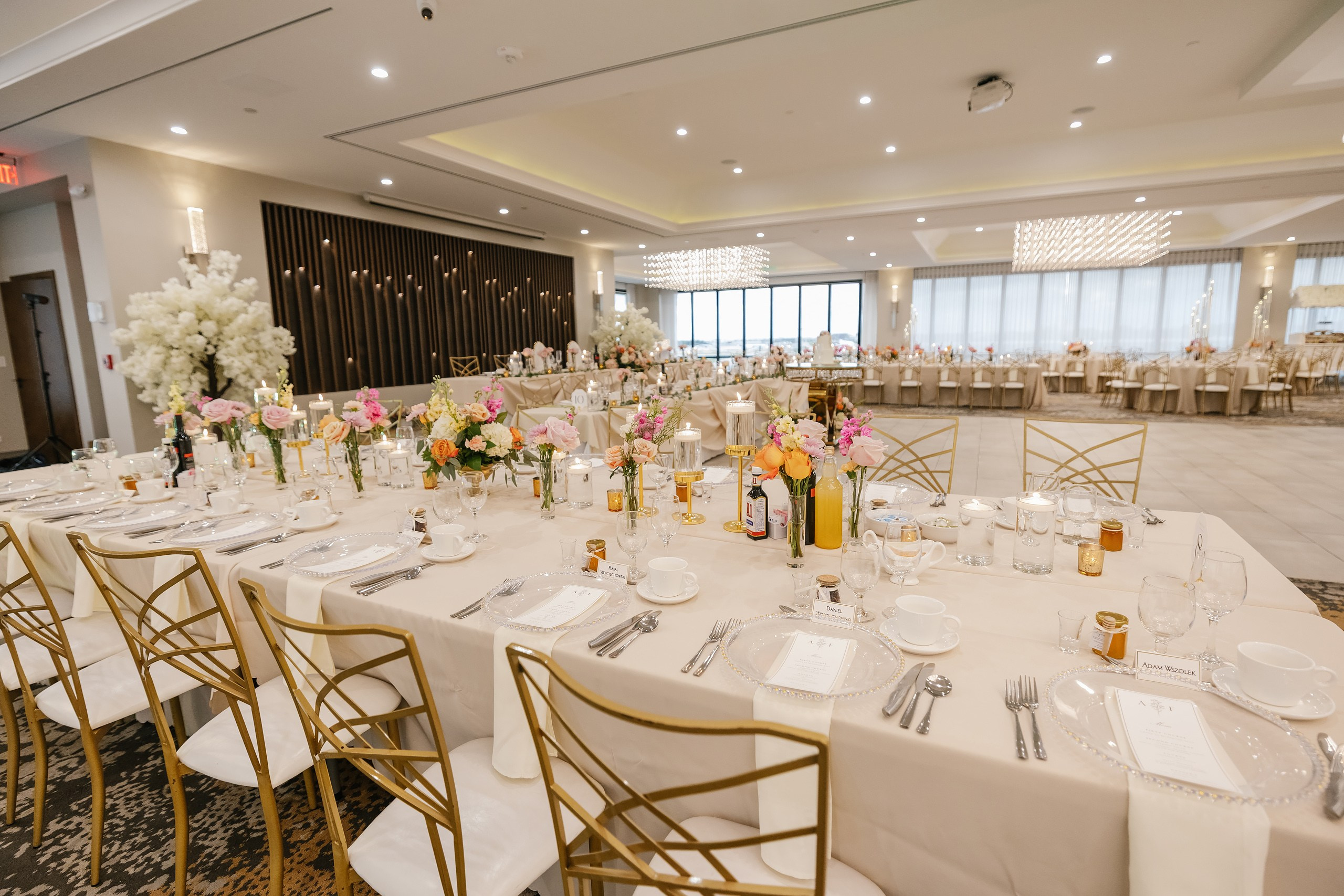 09.06.2025 Wedding. Wedding family event photographer in Chicago Nick Yushevich