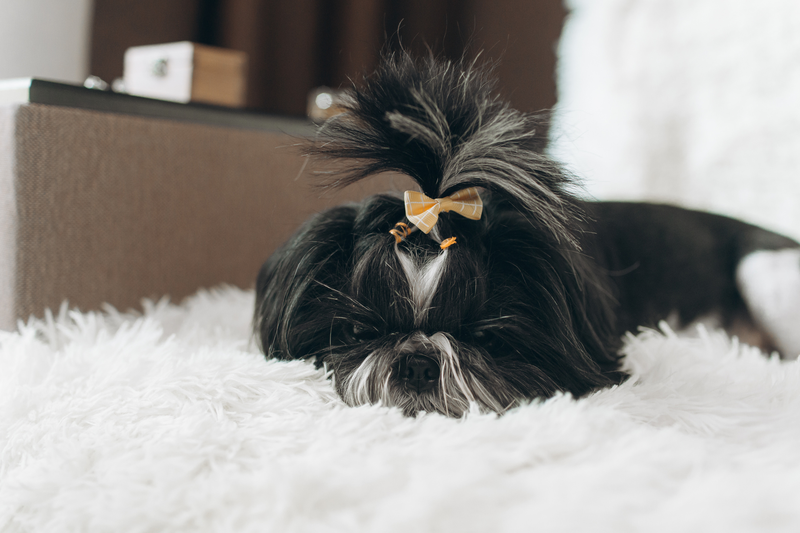 Anastasia & Max. Svyatoslav Bogdanov — destination photographer