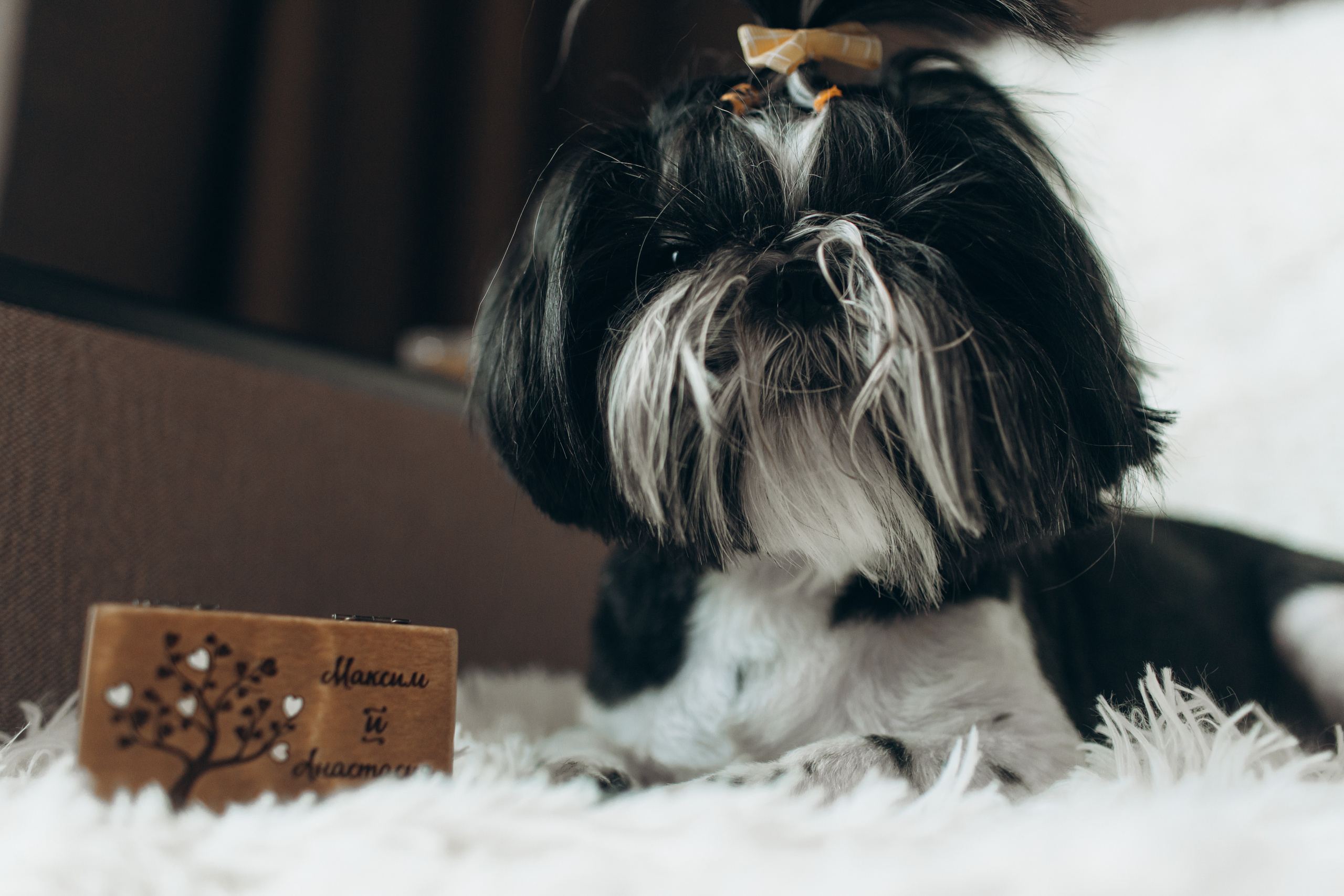 Anastasia & Max. Svyatoslav Bogdanov — destination photographer