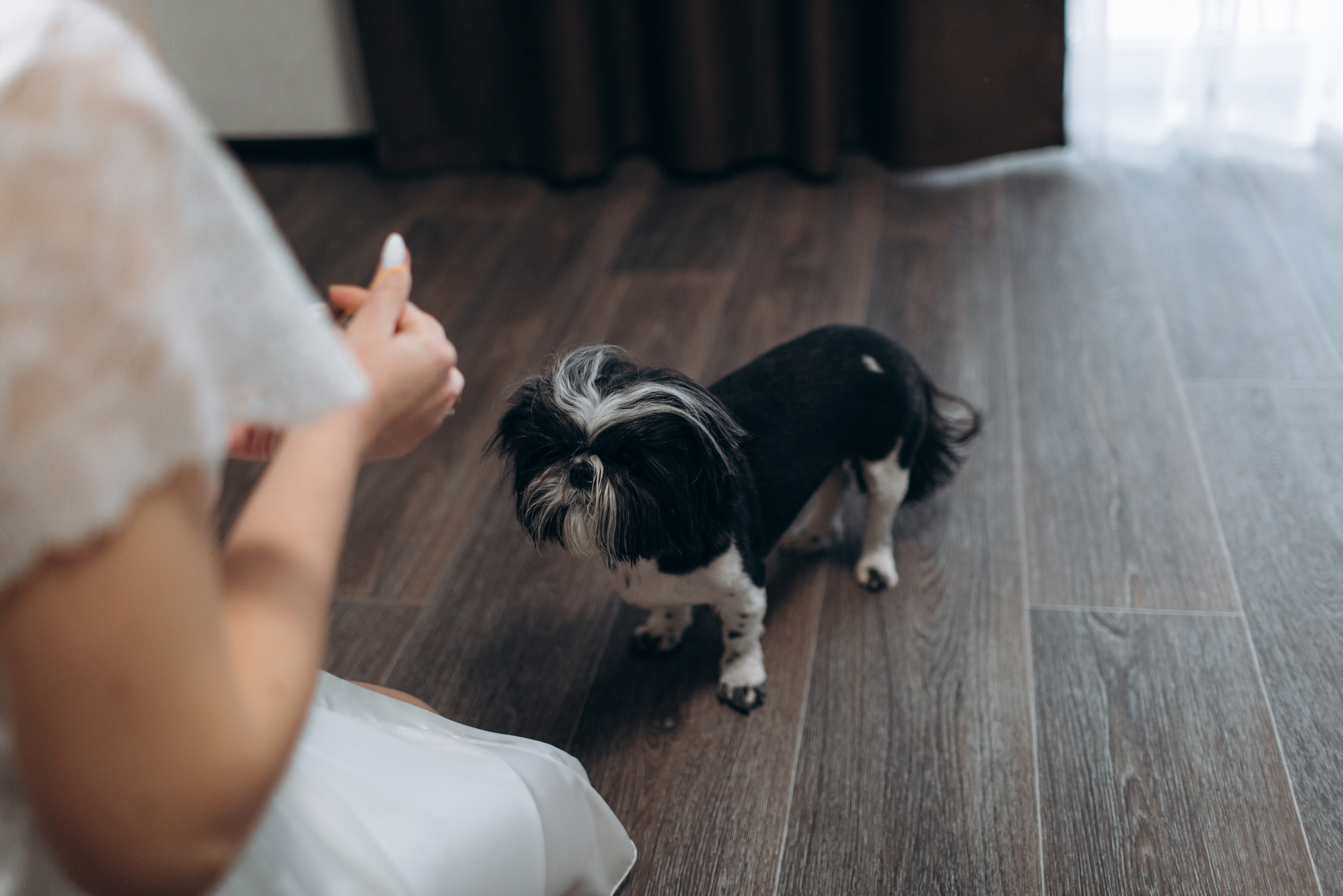 Anastasia & Max. Svyatoslav Bogdanov — destination photographer