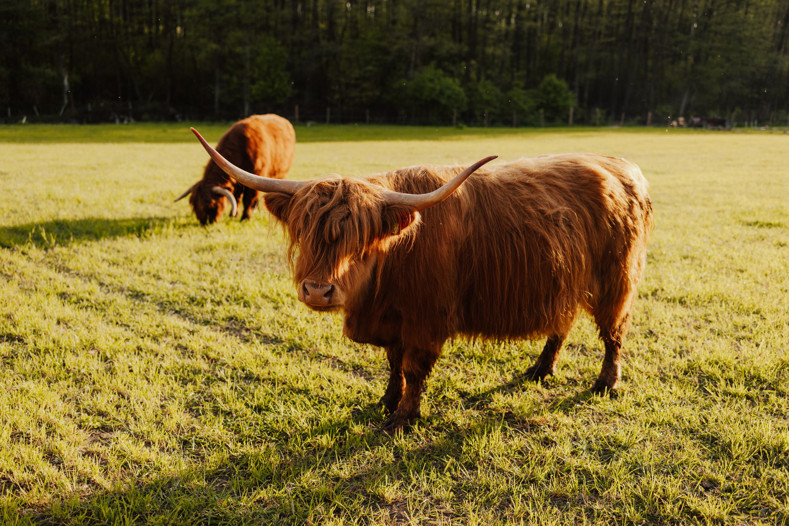 Wieczór Panieński Sandry. Fotograf Siedlce