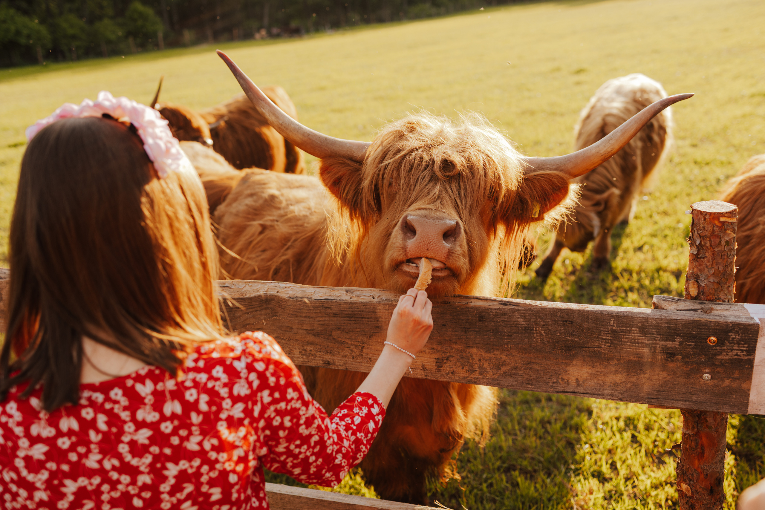 Wieczór Panieński Sandry. Fotograf Siedlce