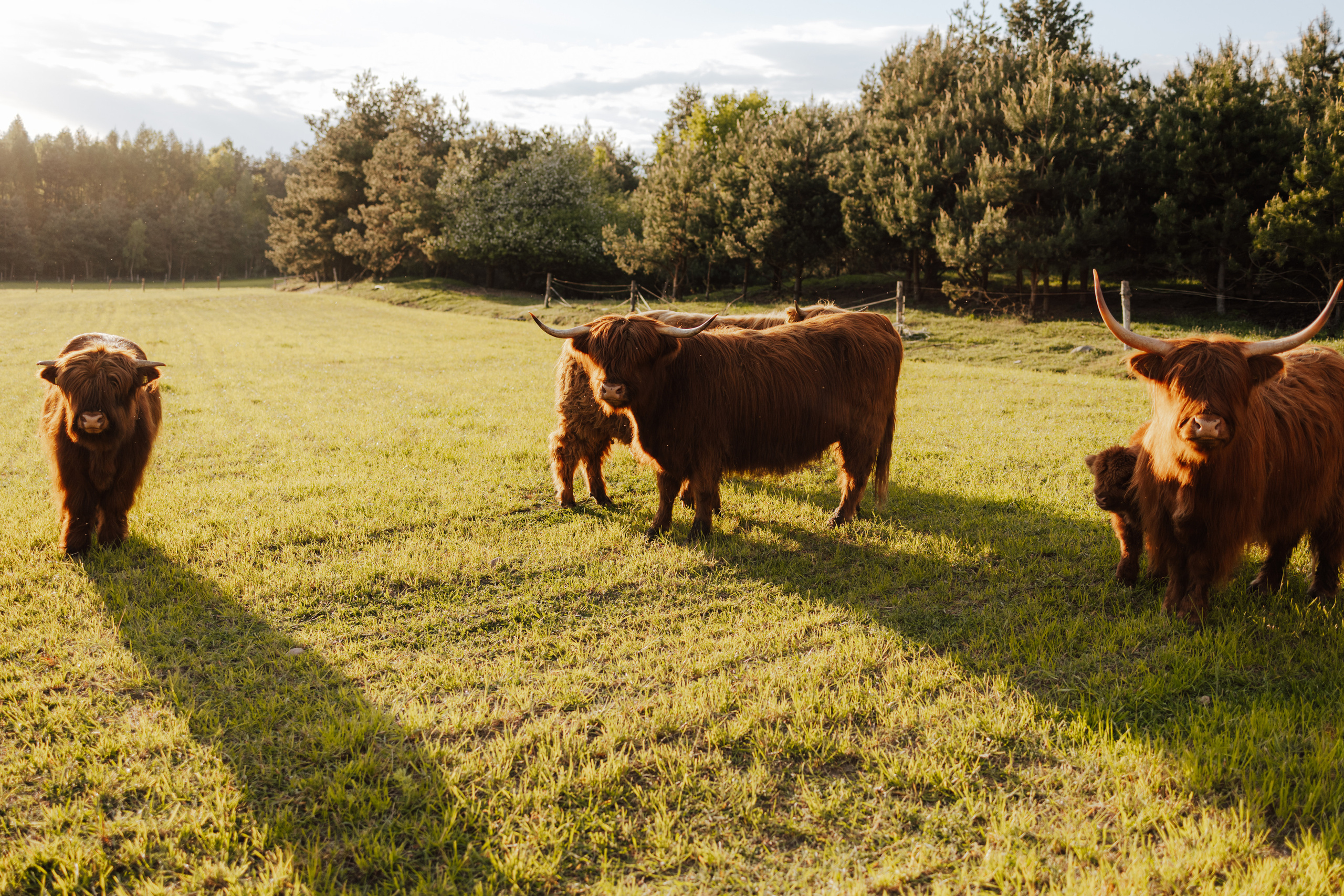 Wieczór Panieński Sandry. Fotograf Siedlce
