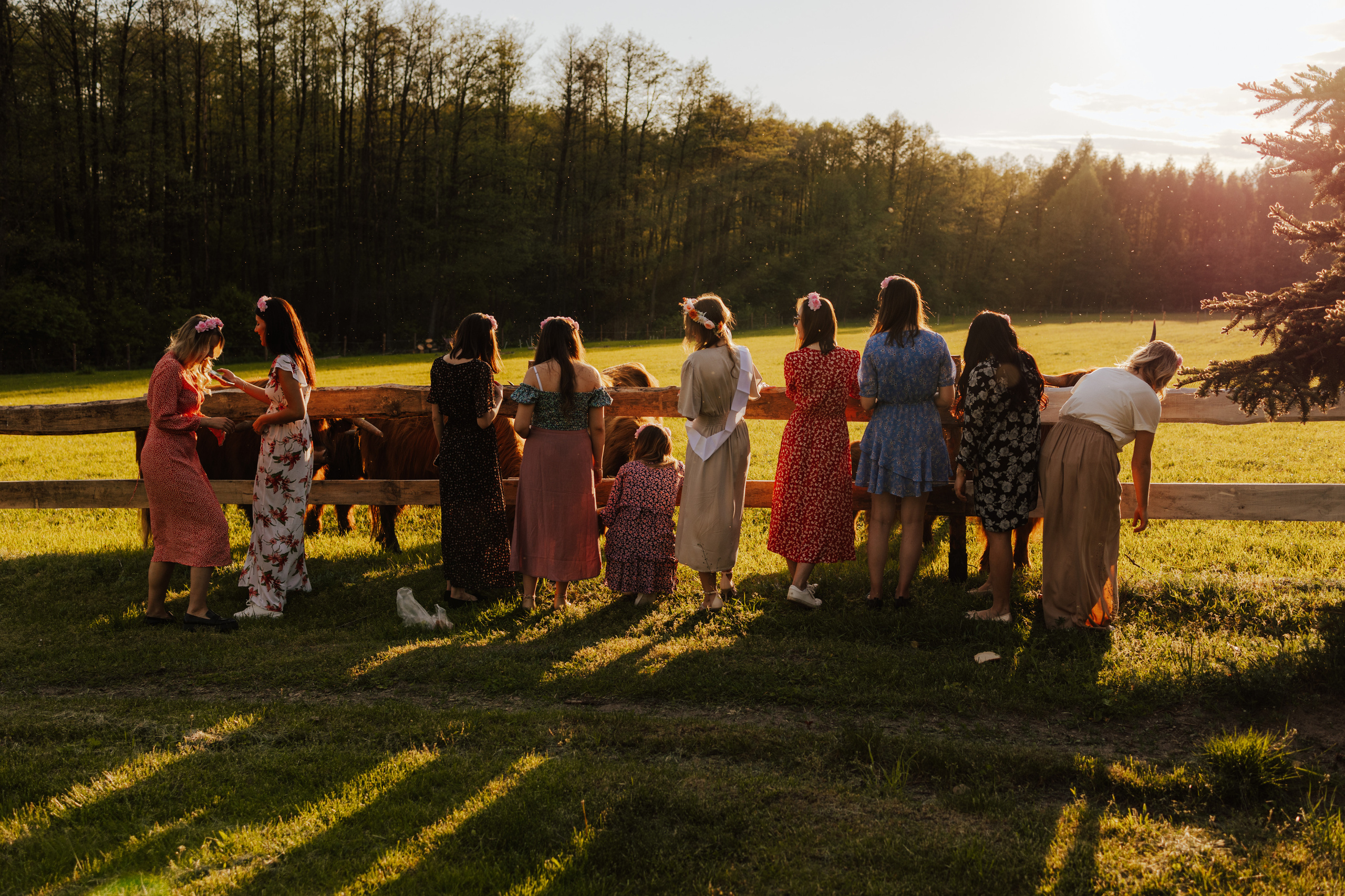 Wieczór Panieński Sandry. Fotograf Siedlce