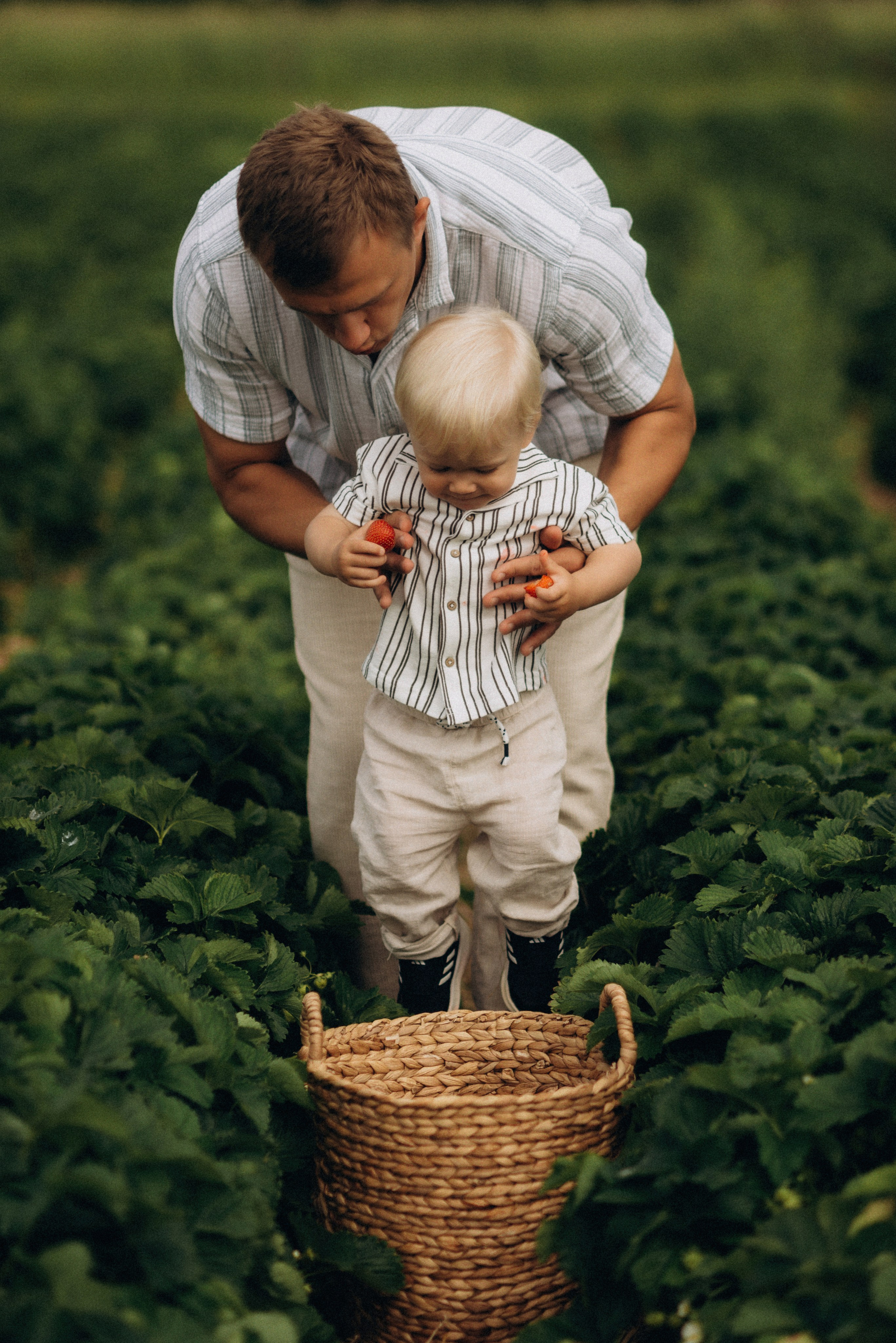 Семейная фотосессия в клубнике. Семейный фотограф Лейпциг, Германия