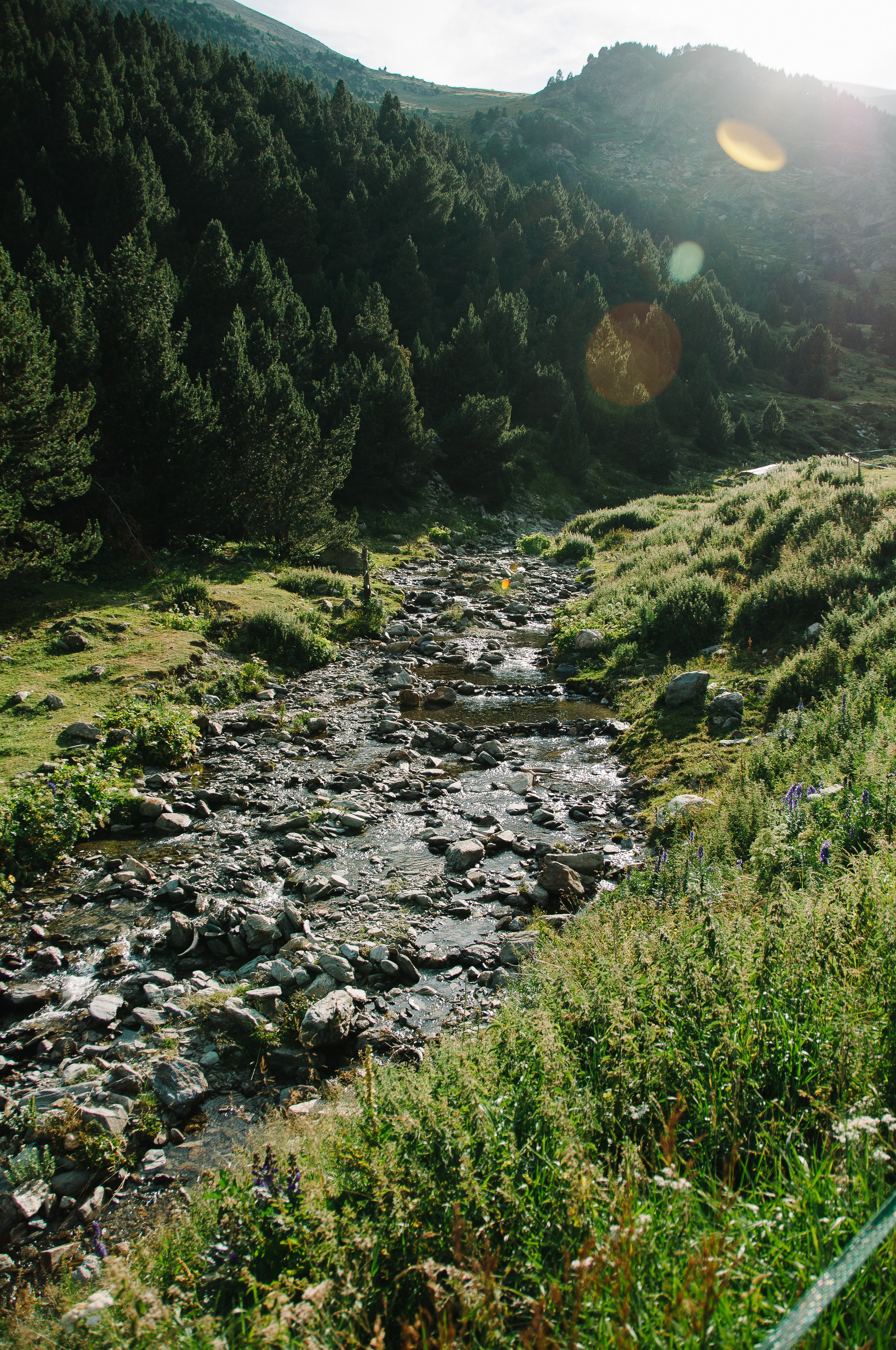 Galeria. Creador de contenido visual en Barcelona | Dima Kit