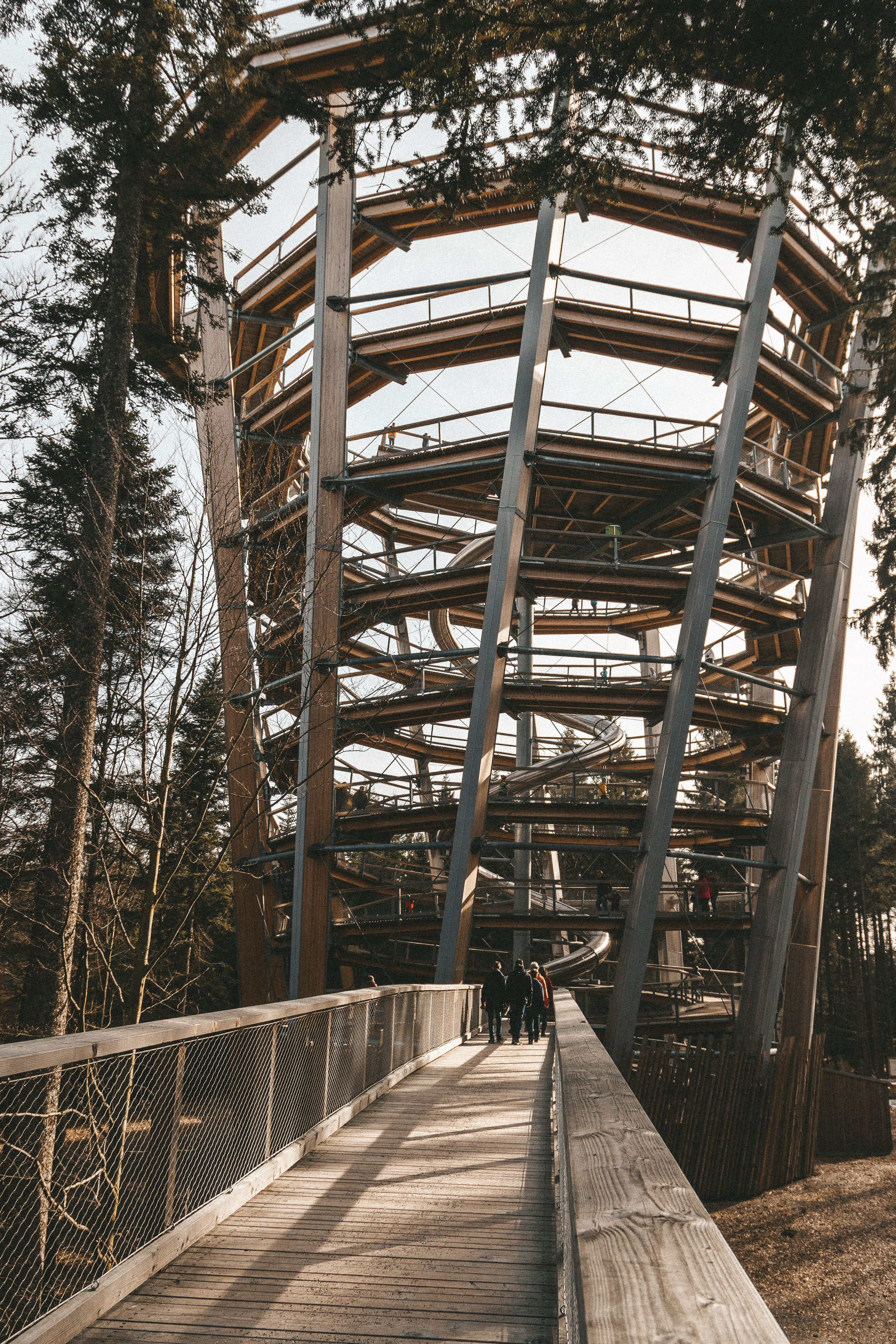 Baumwipfelpfad in Bad Wildbad. Maria Chistyakovа — Fotografin in Karlsruhe, Baden-Baden und Umgebung