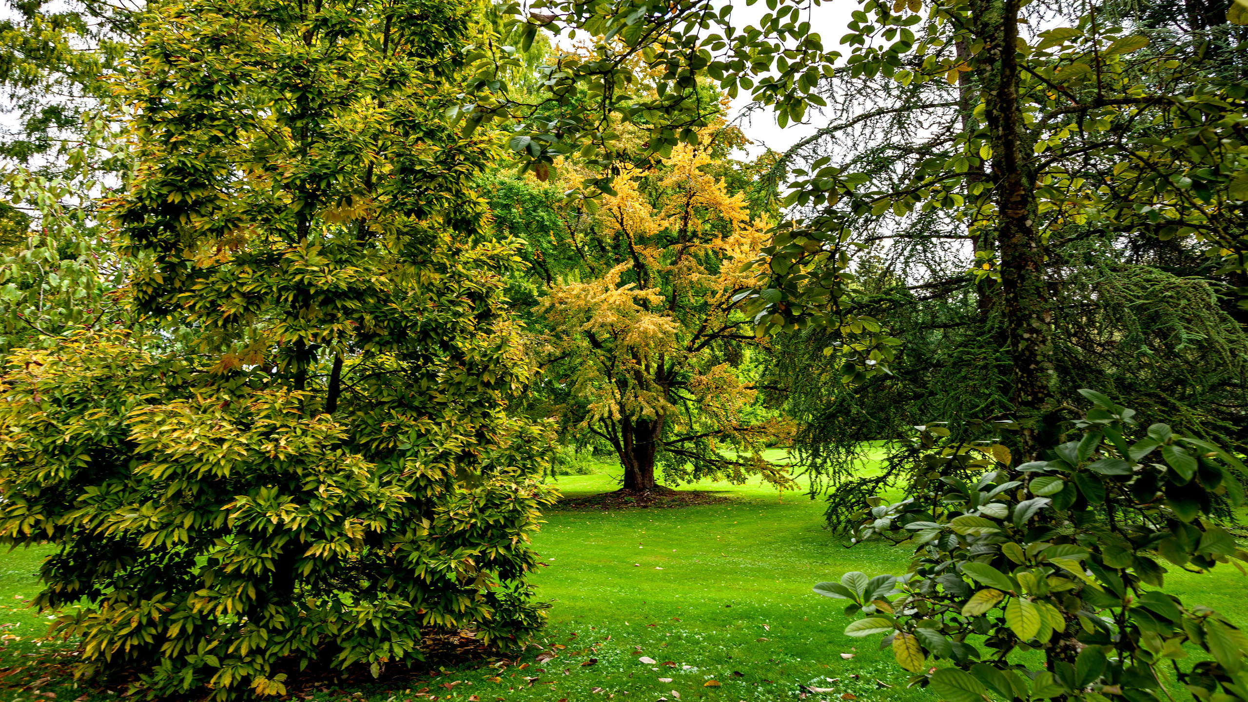 187.Mainau.Germany.24.9.2024. Путешествия в формате 360......