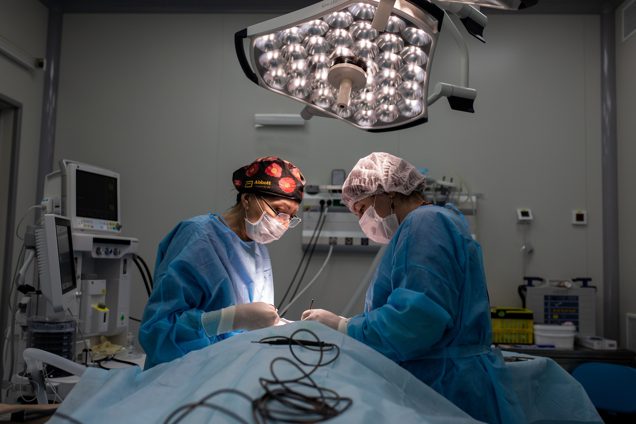 Business. Portrait and family photographer in Fort Collins Dania Gaisina