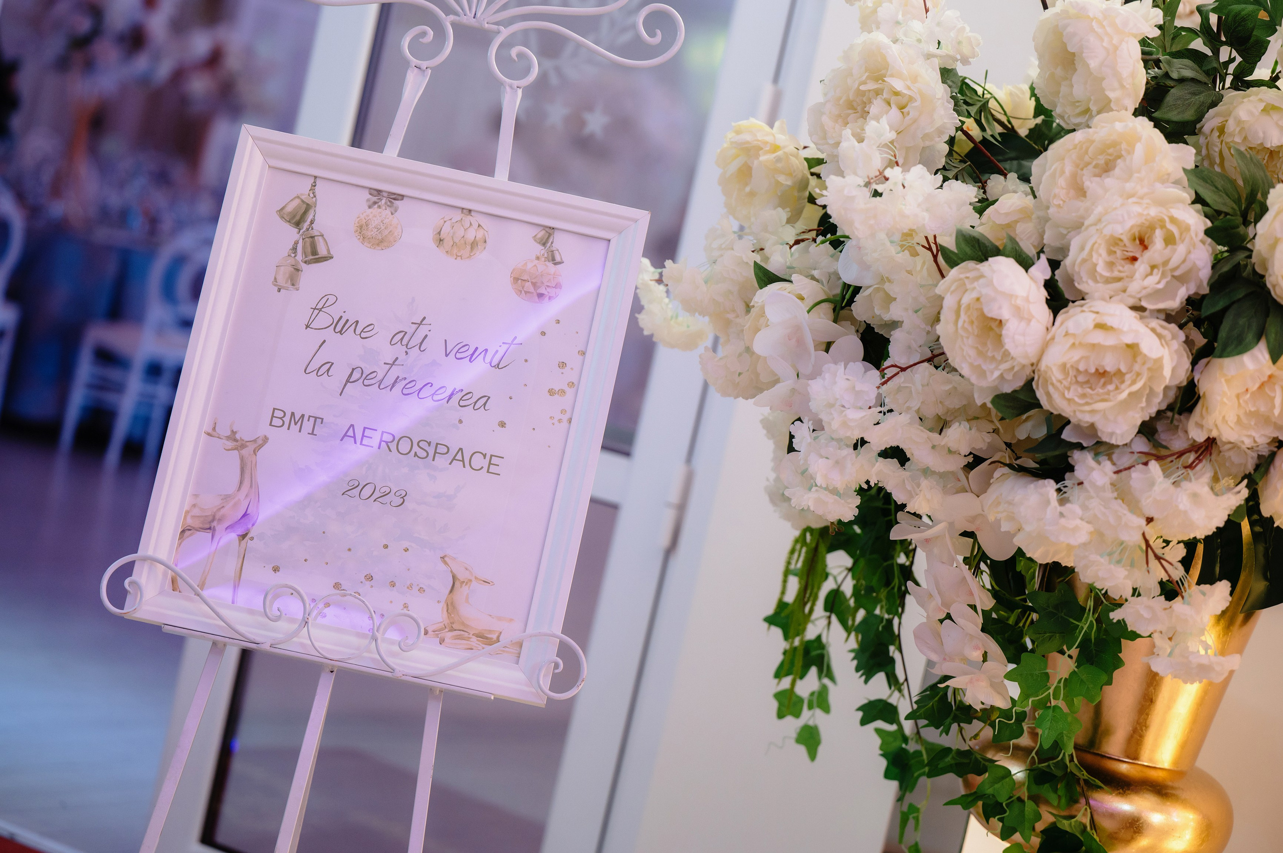 BMT Aerospace Party. Laurentiu Stefan StoryTeller