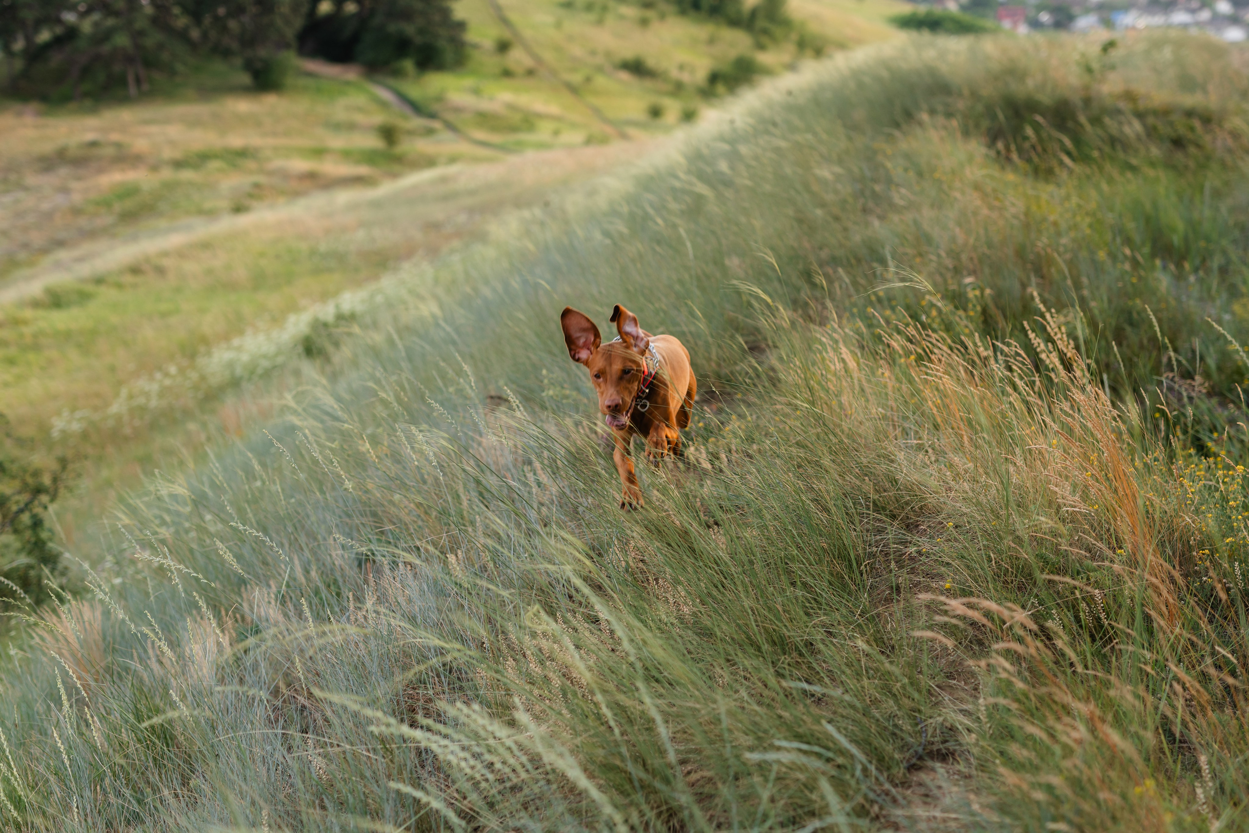 Nico, Luci & Ilaria — Family. Main