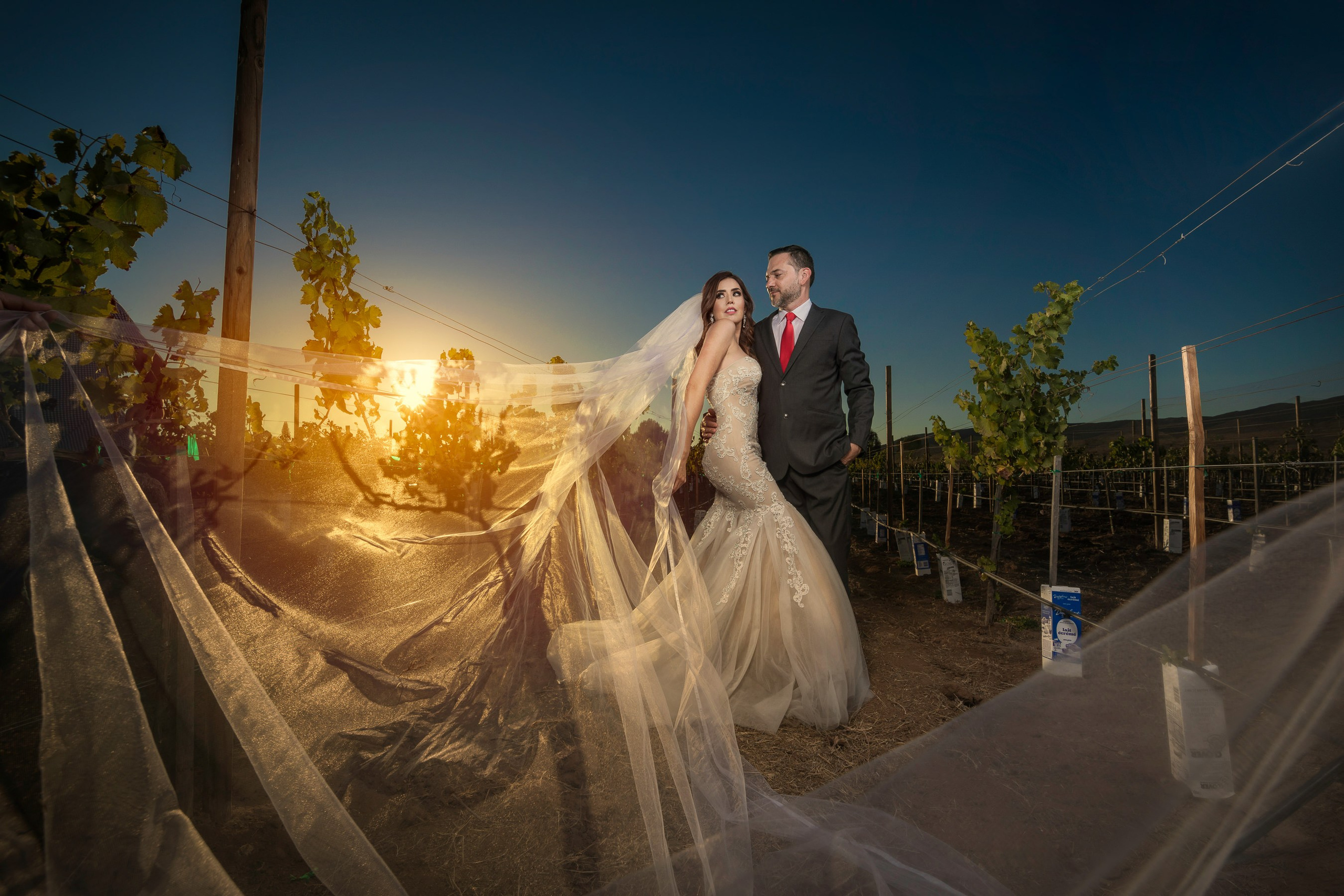 Wedding. Professional Photographer in Chihuahua, Mexico — Alex Mendoza