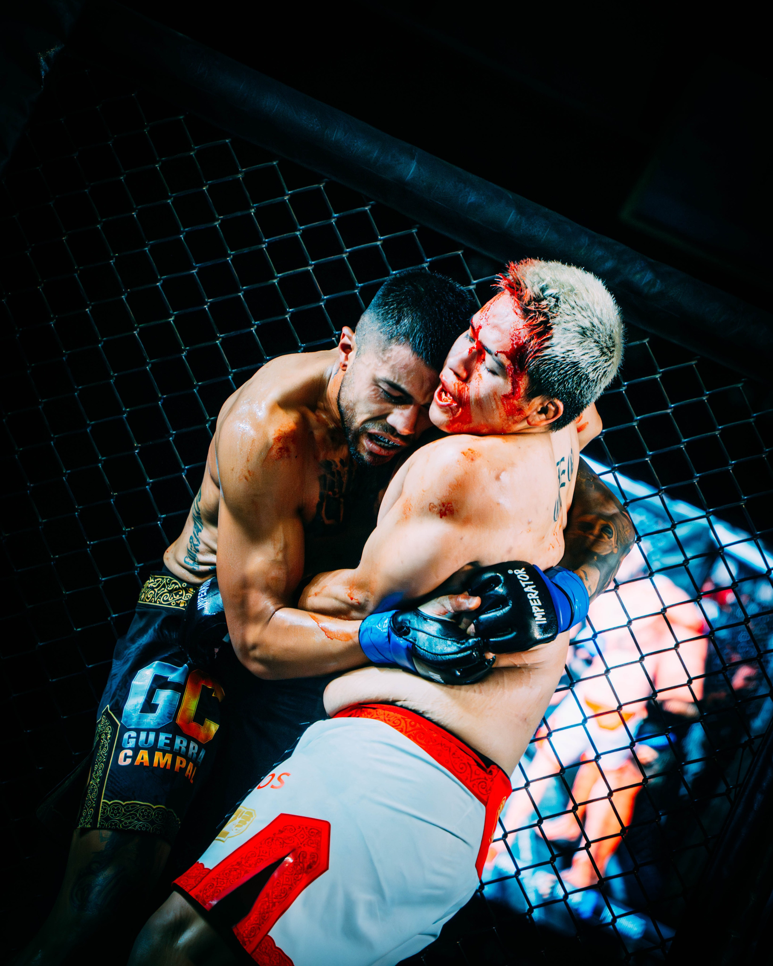 GUERRA CAMPAL. DEYA BELTRAN Maquilladora, fotógrafa y vídeos