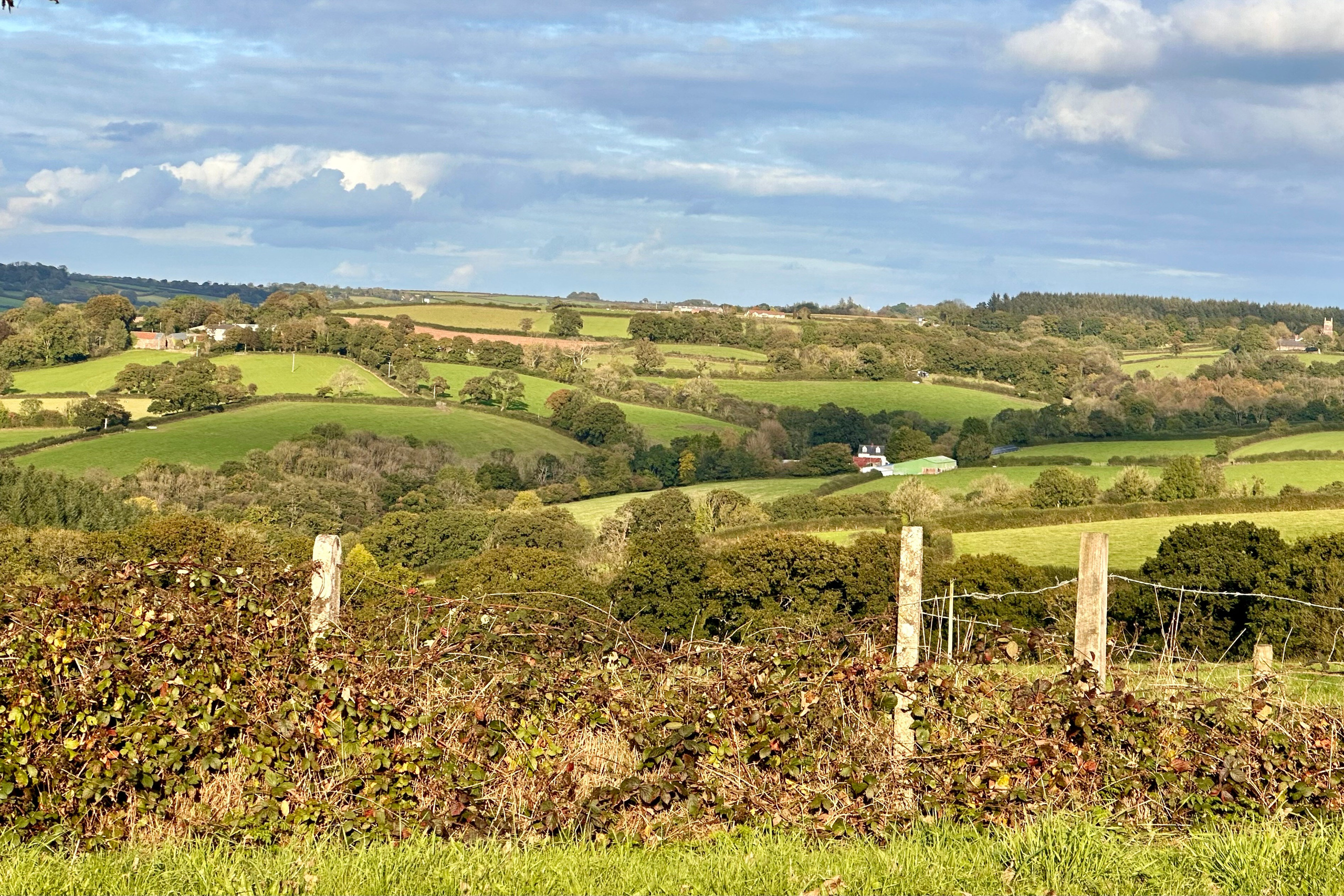 Пейзажи. Фотограф Таня Уорд Бидефорд Пермь Эксетер Плимут Лондон