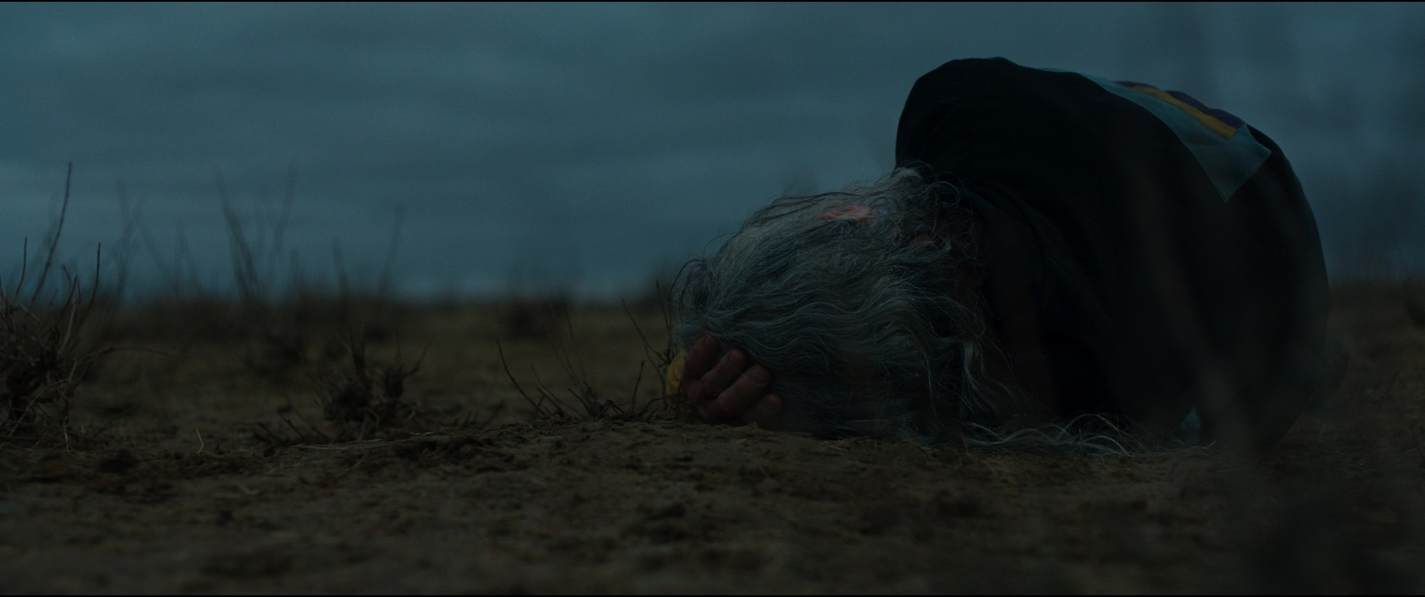 Kosmicheskaya sobaka Lida | Film. Ilia Ivanov