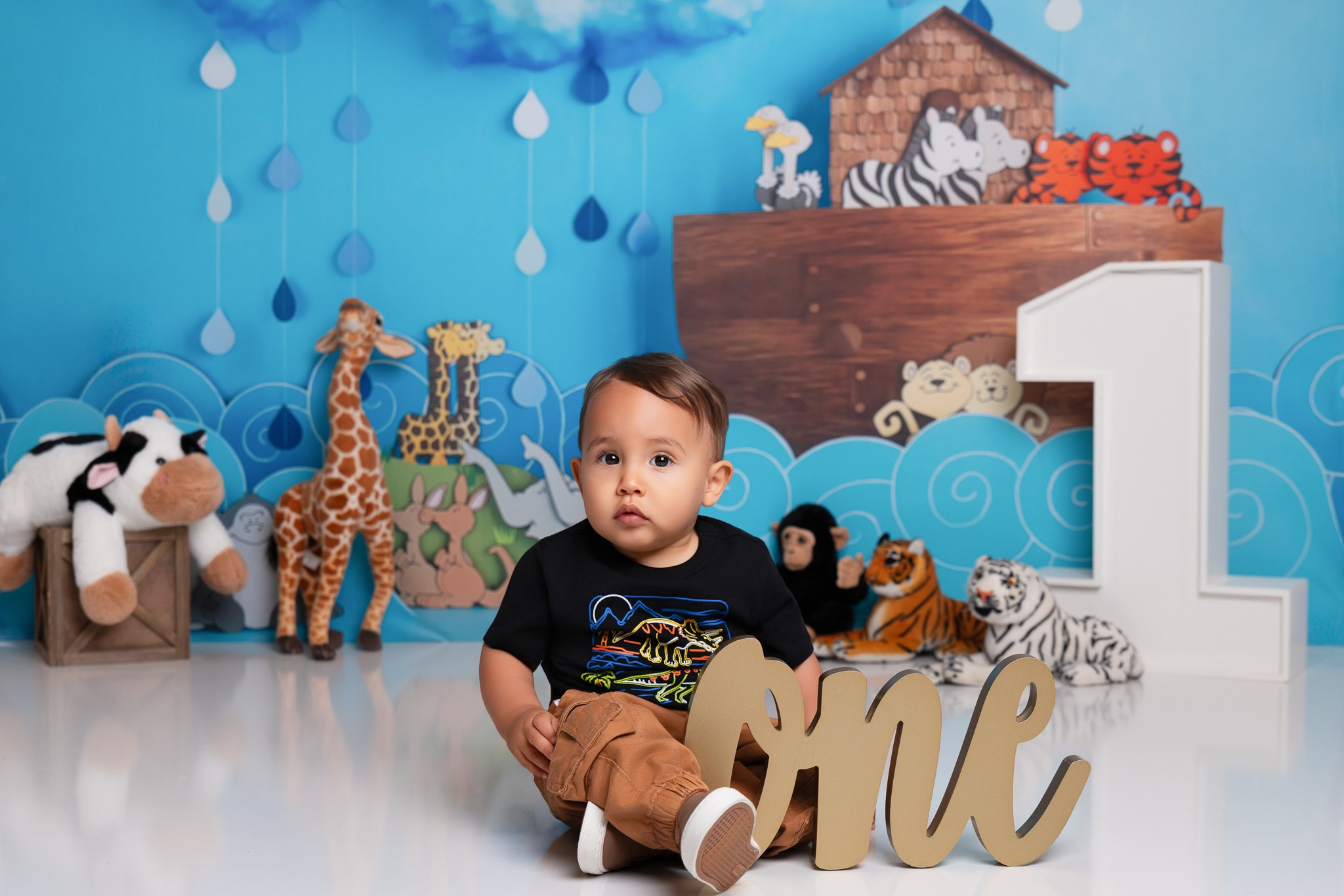 Liam 1 year old photoshoot. Professional family, maternity & newborn photographer in North Charleston, SC, creating timeless portraits