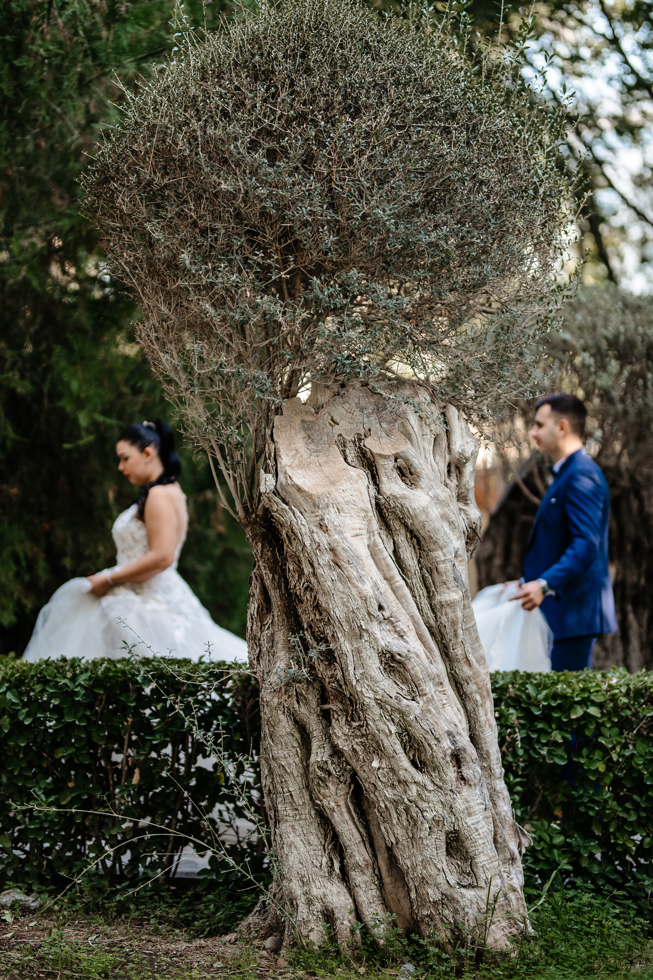 Nikolas & Cristina. AdrianOltean.wfolio.pro