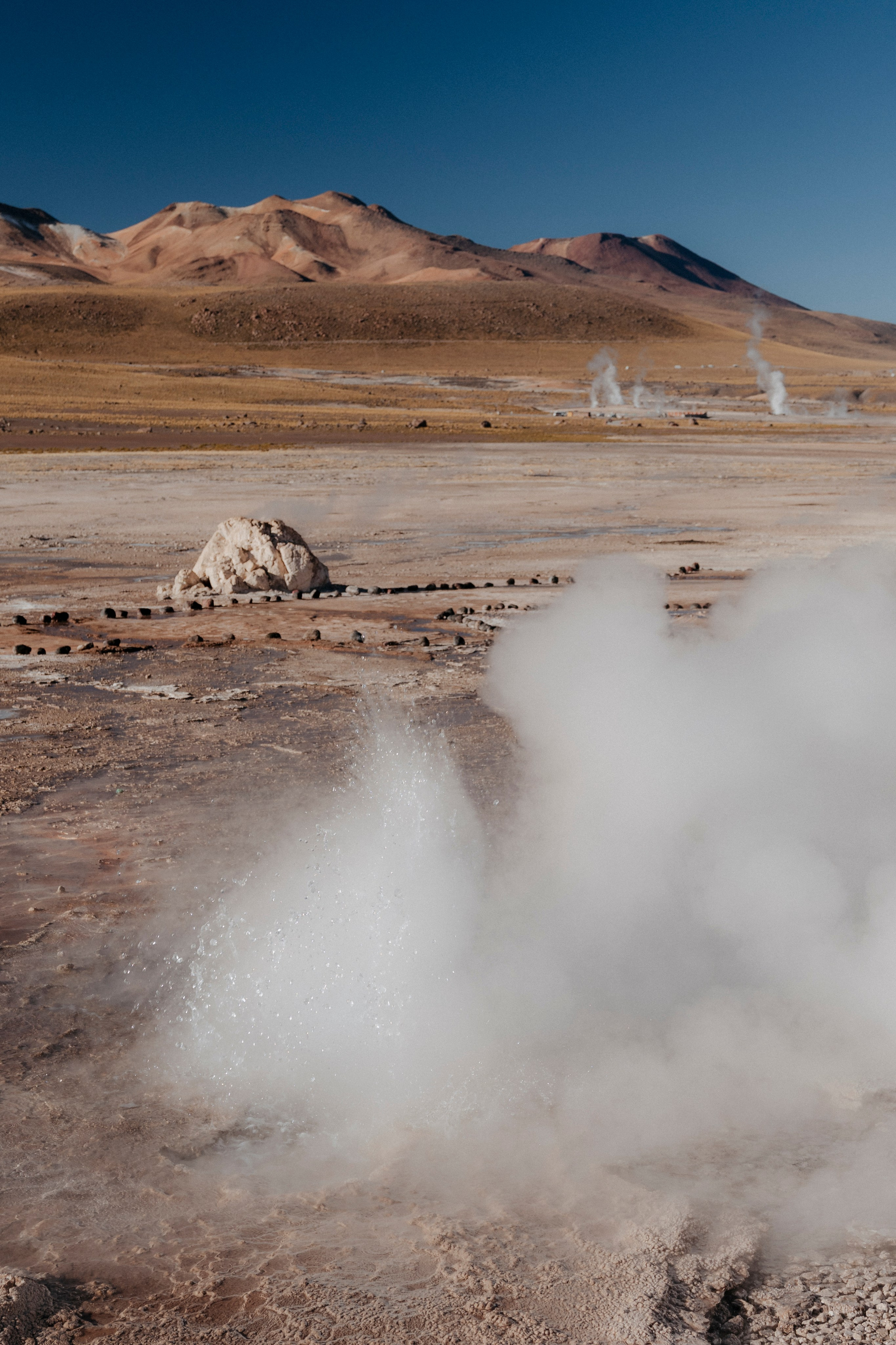 Geyser El Tatio (cobertura en tour privado). Principal