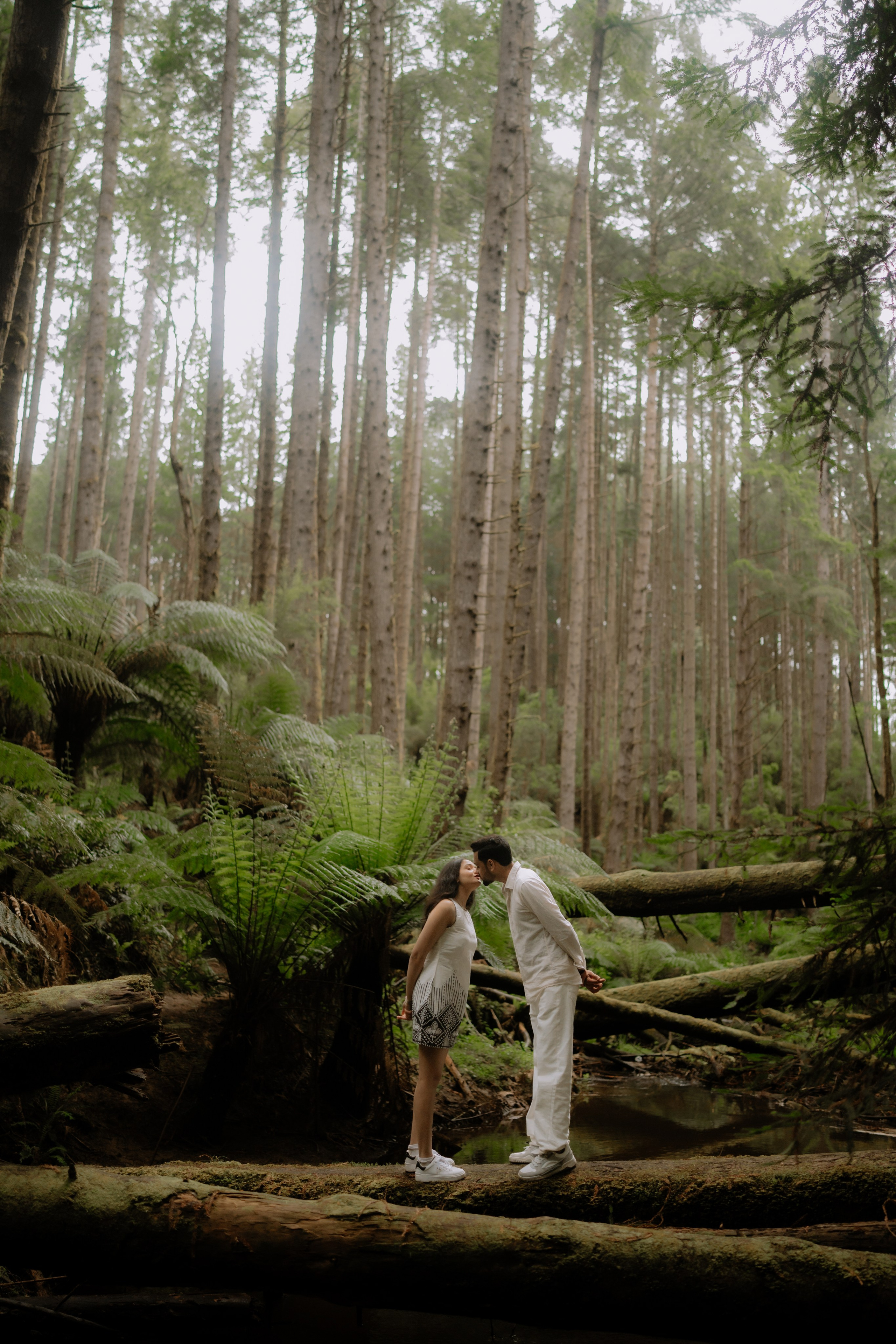 Raj & visha. Ankushpatelphotography.AU