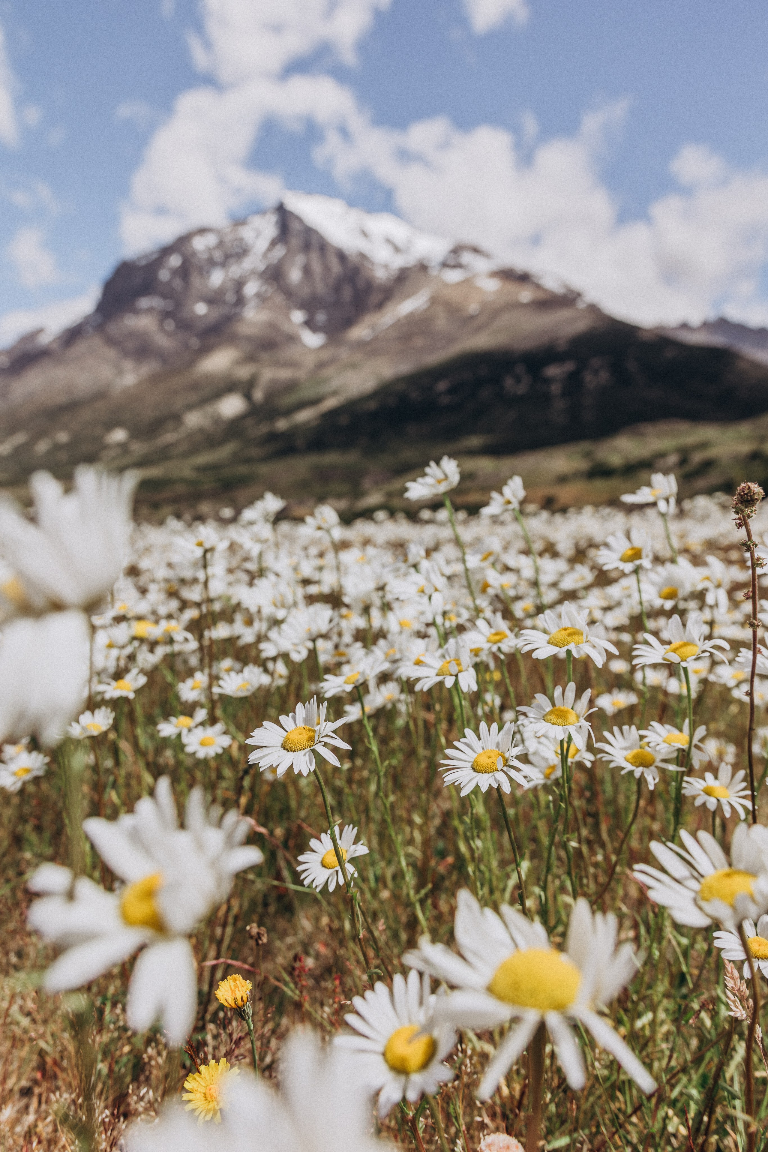 T+C. Elopement in Patagonia. Fotógrafa familiar Santiago y Chile Anna Almazova
