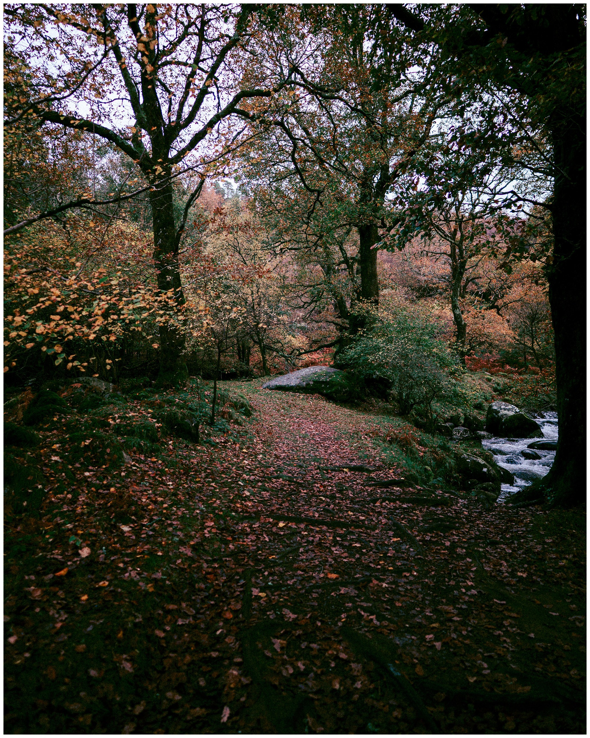 IRELAND. Inna Mendelson — Photographer