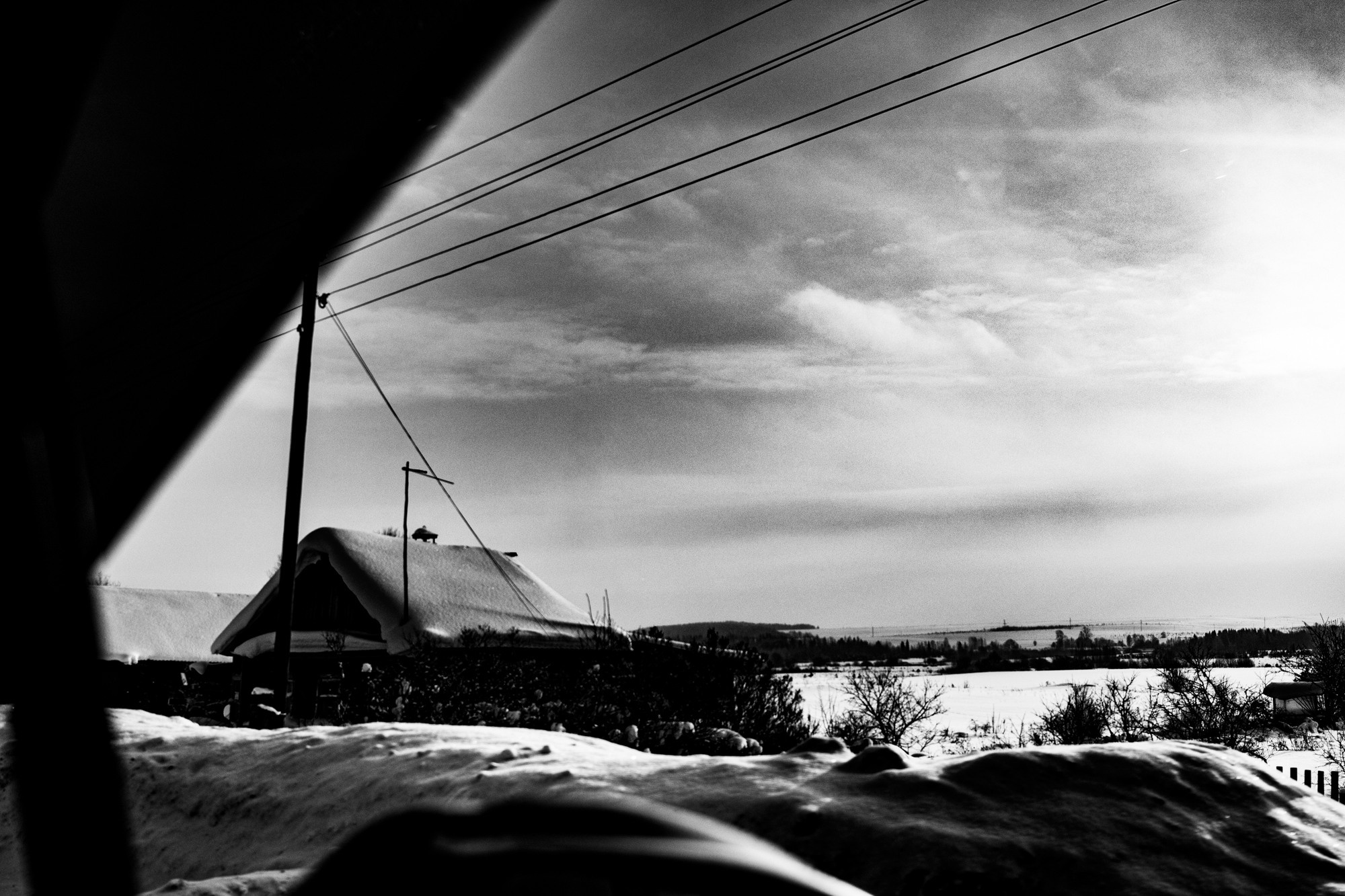 Silent prayer. Tatiana Kireicheva