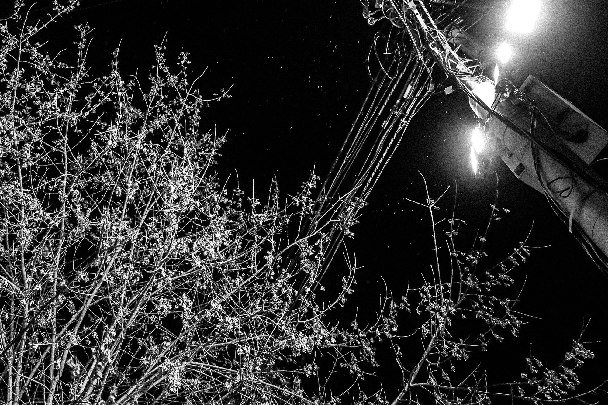 Silent prayer. Tatiana Kireicheva