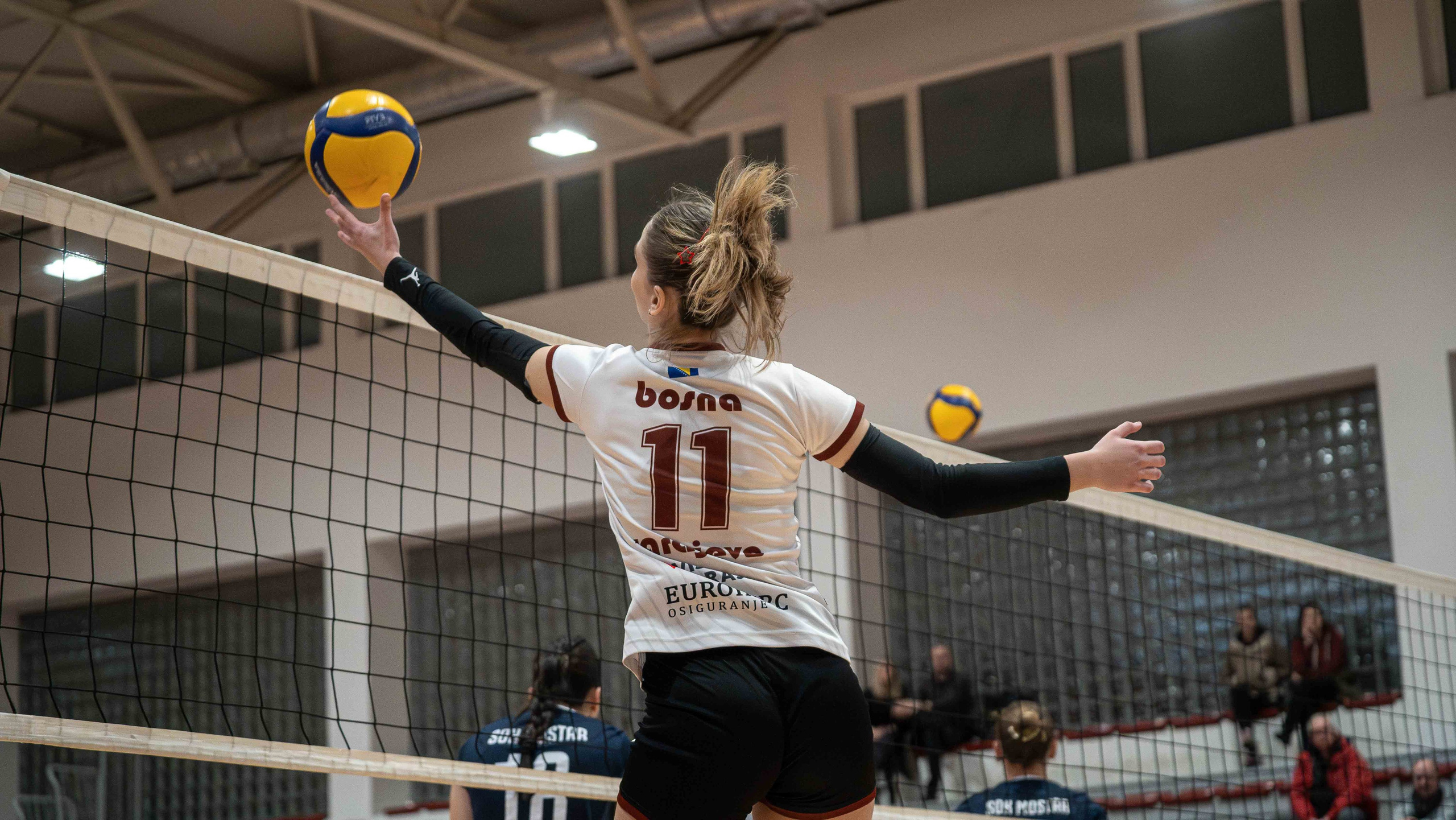 ŽOK Bosna — 2024/2025