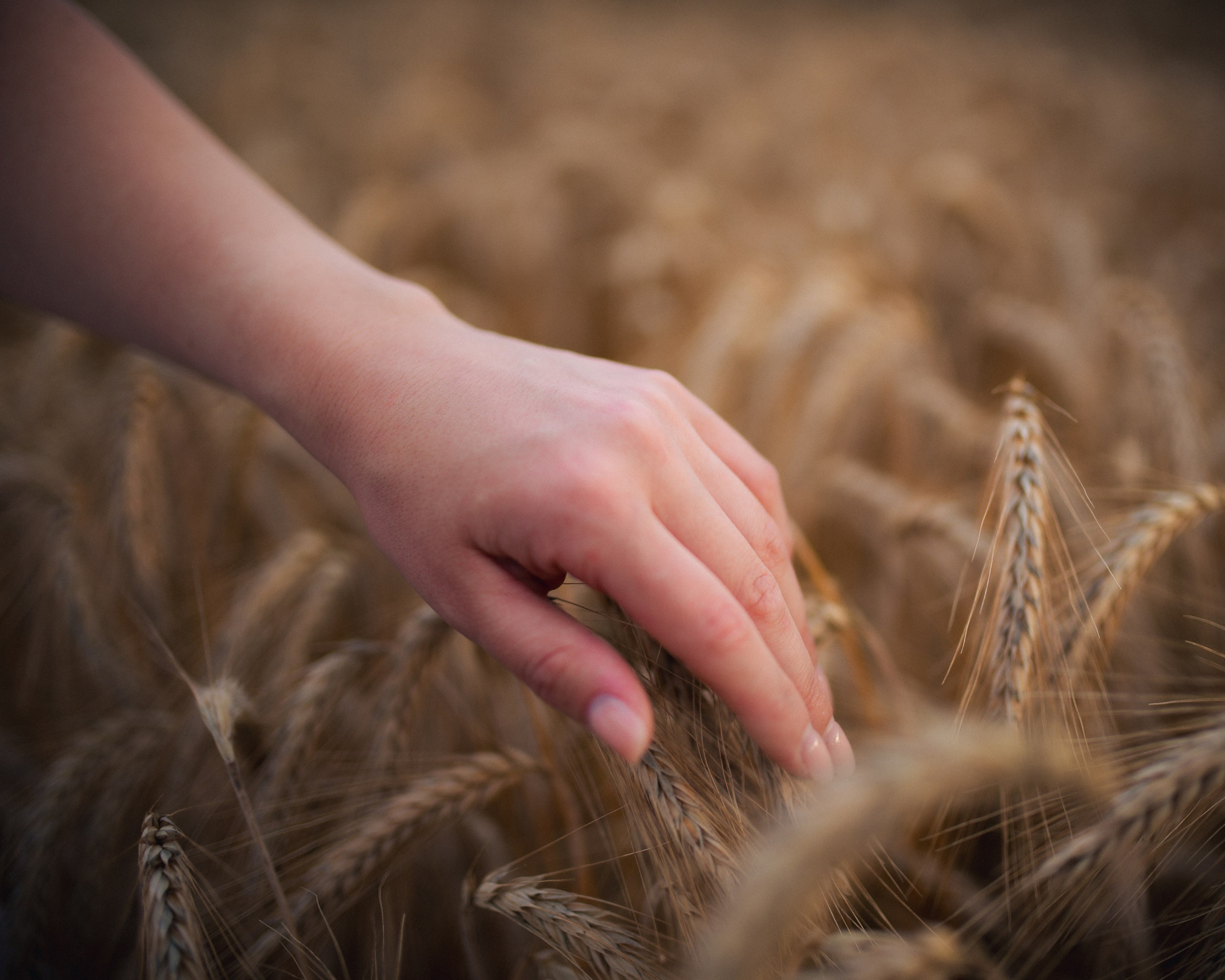 Livia. Fotograf de nuntă în Germania